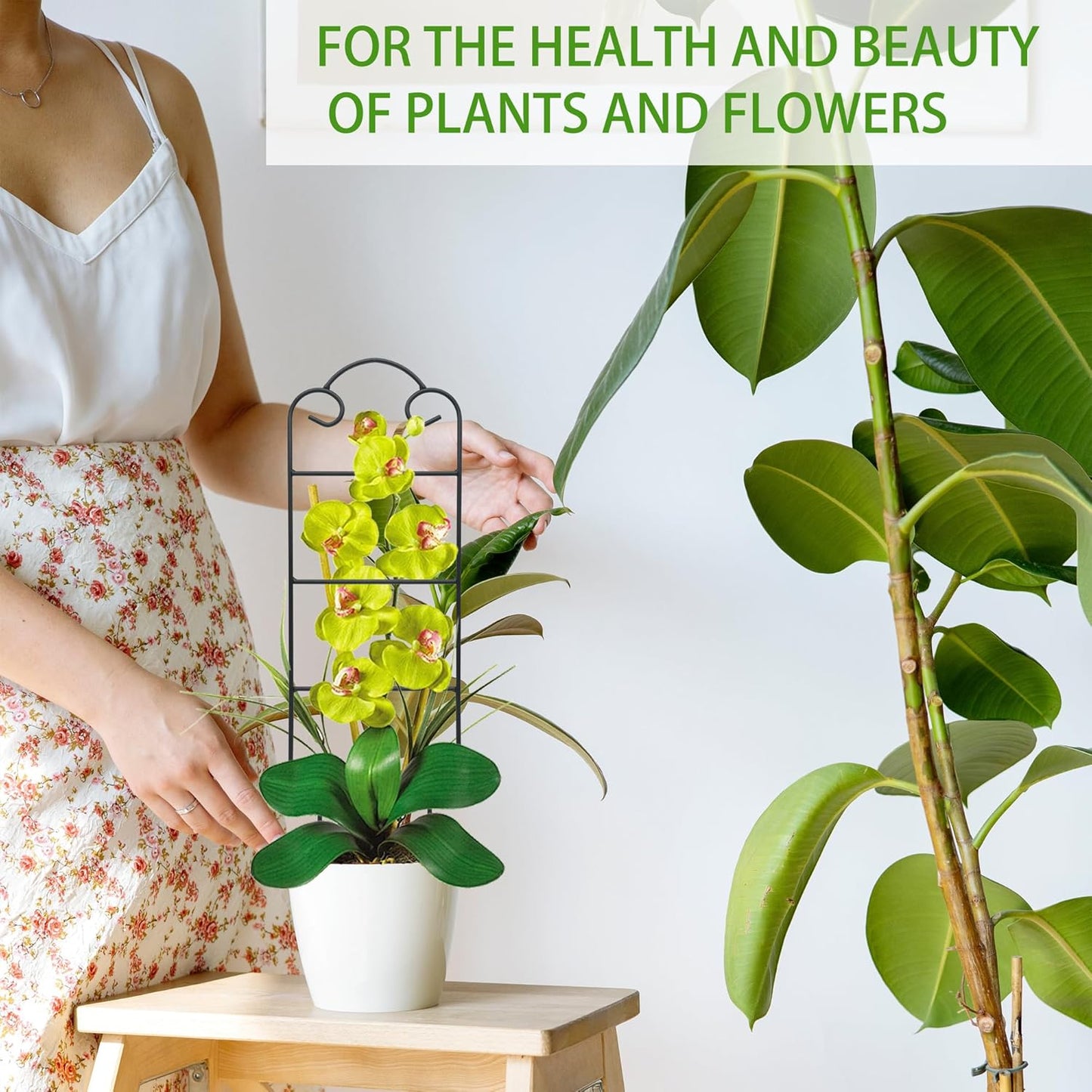 16 Inch Plant Trellis Indoor for Potted Plants 4 Pack Indoor Plant Trellis for Climbing Plants Houseplant Trellis Metal Garden Pot Trellis for Vine Ivy Support(16inch Black)