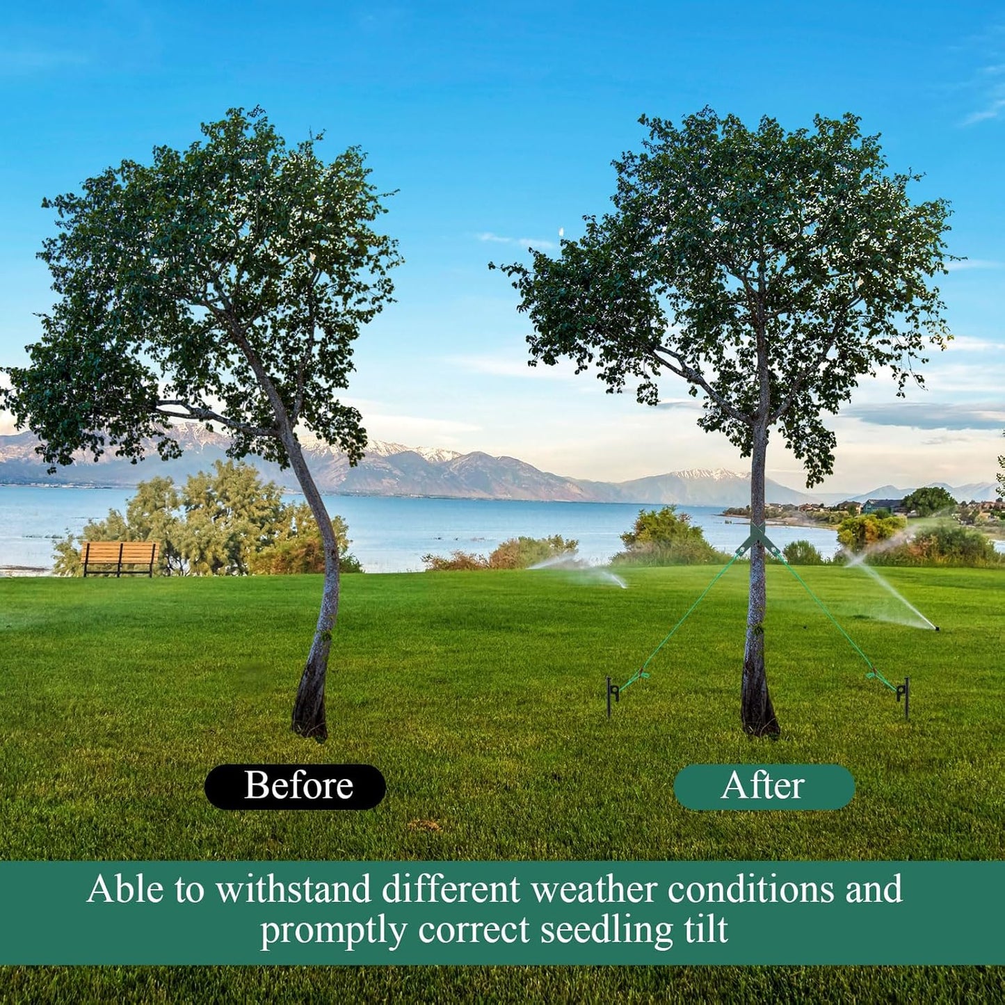 Suzile 180 Pcs Tree Stake Kit, Heavy Duty Tree Staking and Supports for Leaning Trees Include 11. 8'' Steel Stakes 15. 8'' Support Straps 13. 12 ft Ropes for Anchoring Hurricane Protection (Green)