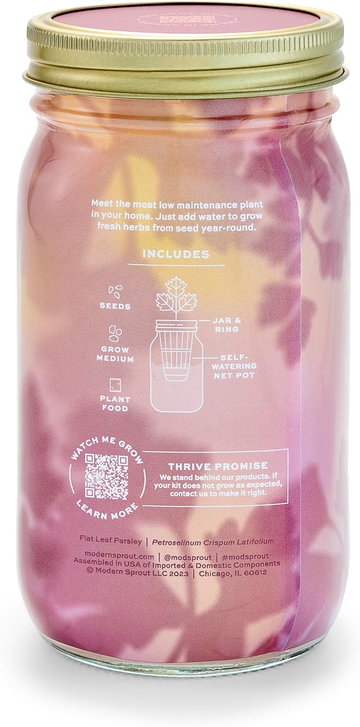 Modern Sprout Mason Garden Jar - Self-Watering Hydroponics Growing System Kit with Organic Herb Seeds - Jar Planter for Indoor Herb Garden - Seed Starter Kit - Home Decor & Gifting - Parsley