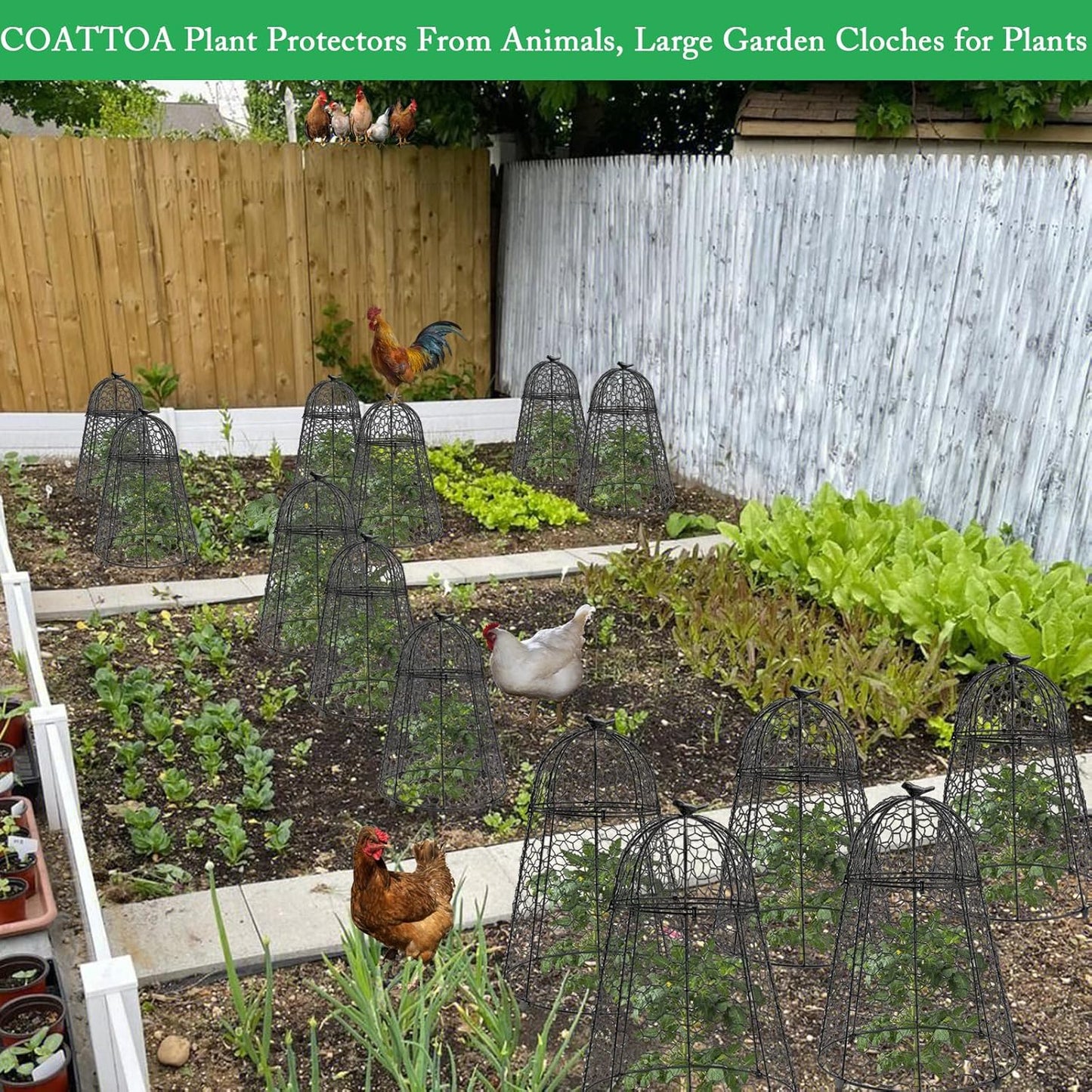 Plant Protector Chicken Wire Cloche 2 PCS, Plant Protectors from Animals, 18.7×12 Inch Large Garden Cloches for Plants, Sturdy 2-in-1 Cloche Dome for Plants, Plant Protectors for Easy Pruning