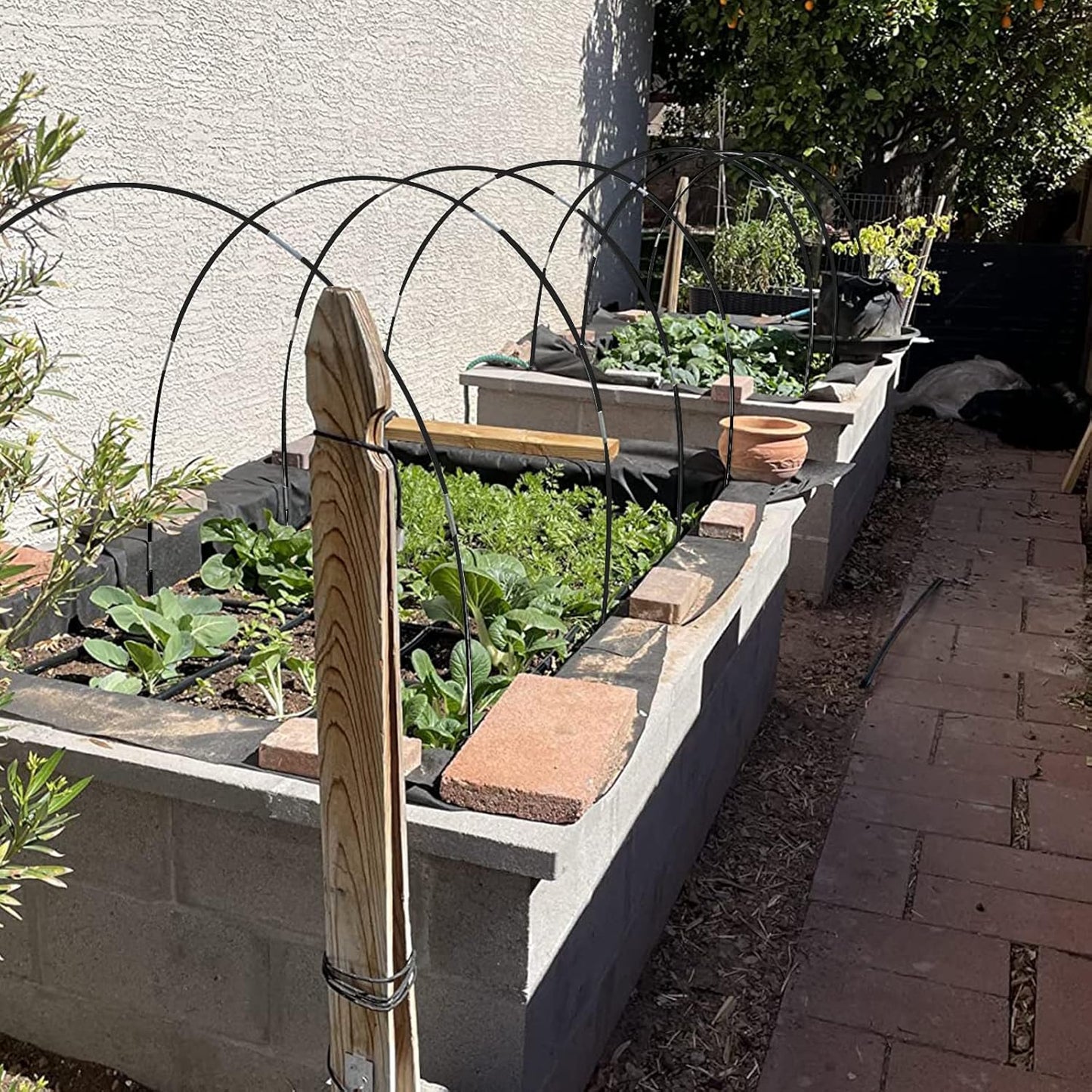 Greenhouse Hoops Grow Tunnel 60 Pcs 16 Inch Up to 12 Sets of 7ft Long Plastic-Coated Rust-Proof Fiberglass Garden Hoops for Raised Beds with 50 Pcs Metal Connect Pipes and 40 Clamps