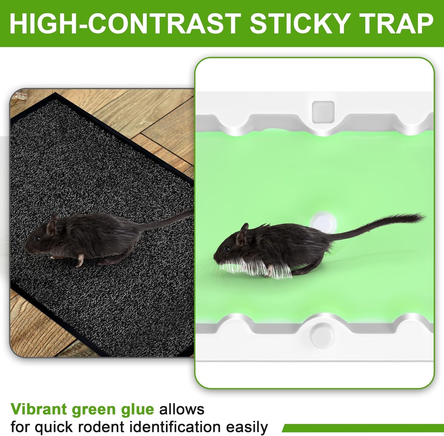 Qualirey 24 Pack Mouse Glue Trap, Super Sticky Traps Mouse Size for Mice and Rats, Pre-Scented, Non Toxic Mice Glue Boards, Rodent Sticky Pads Indoor for Home, Easy to Use, Pet Safe Pest Control