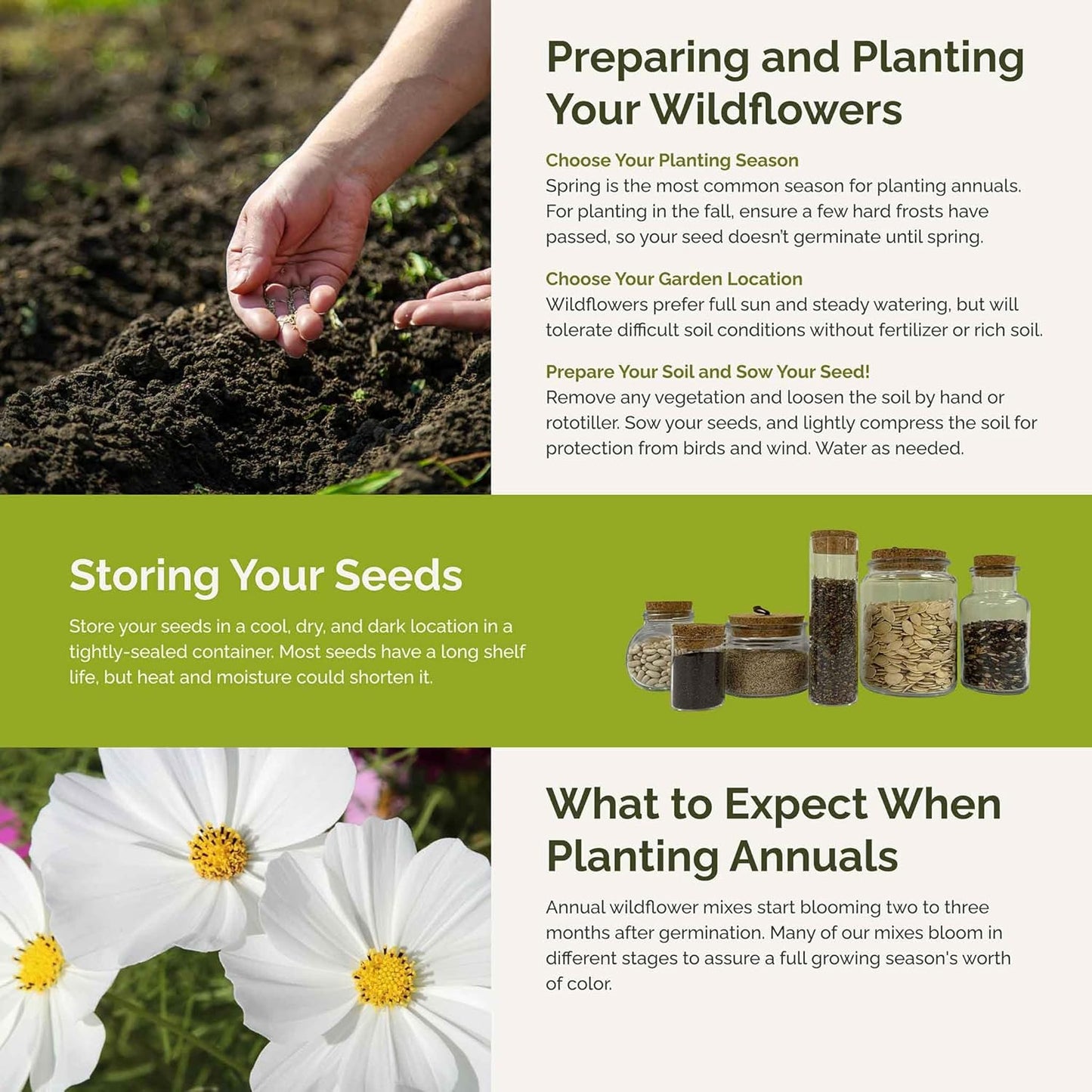 Eden Brothers Moon Garden Flower Mixed Seeds for Planting, 1/4 lb, 120,000+ Seeds with Cosmos Purity, Bishop's Flower | Attracts Pollinators, Plant in Spring or Fall, Zones 3, 4, 5, 6, 7, 8, 9, 10