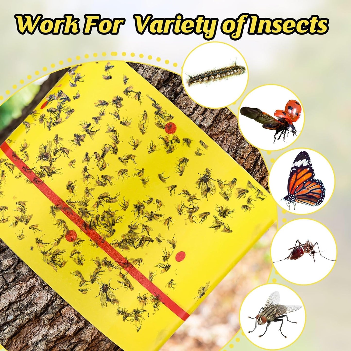 Qualirey 6 Rolls Spotted Lantern Fly Traps 30 Feet Each Roll Fly Tree Trap Sticky Strips Outdoor Fruit Glue Strips Disposable Tape Indoor Paper Sheets for Protecting Trees (Yellow)