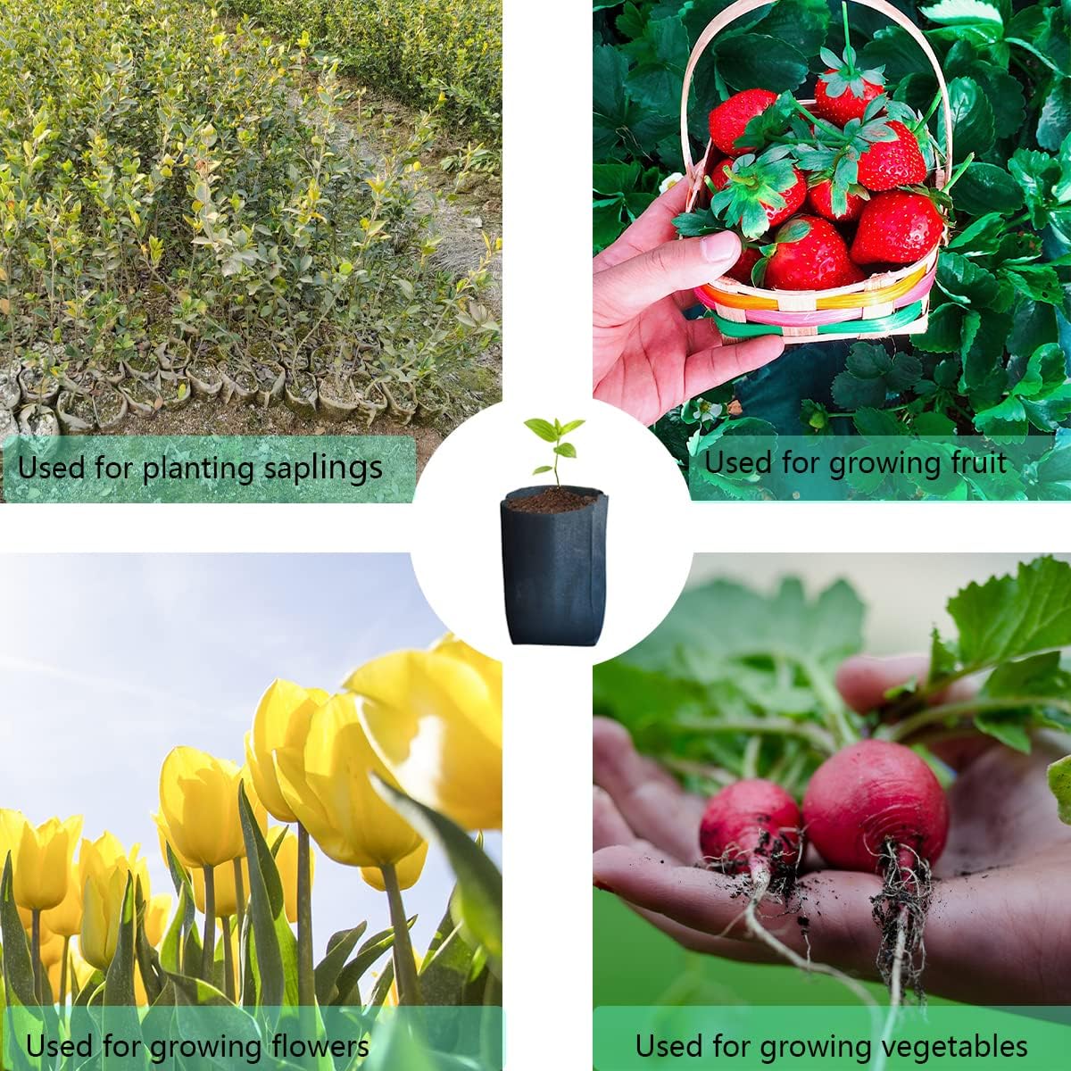 gardtree Plant Nursery Bags 7” x 7.87” 150PCS, Non-Woven Biodegradable Plant Grow Bags Fabric Seedling Starter for Vegetable Flower Fruit Saplings Tree, Home Garden Supply