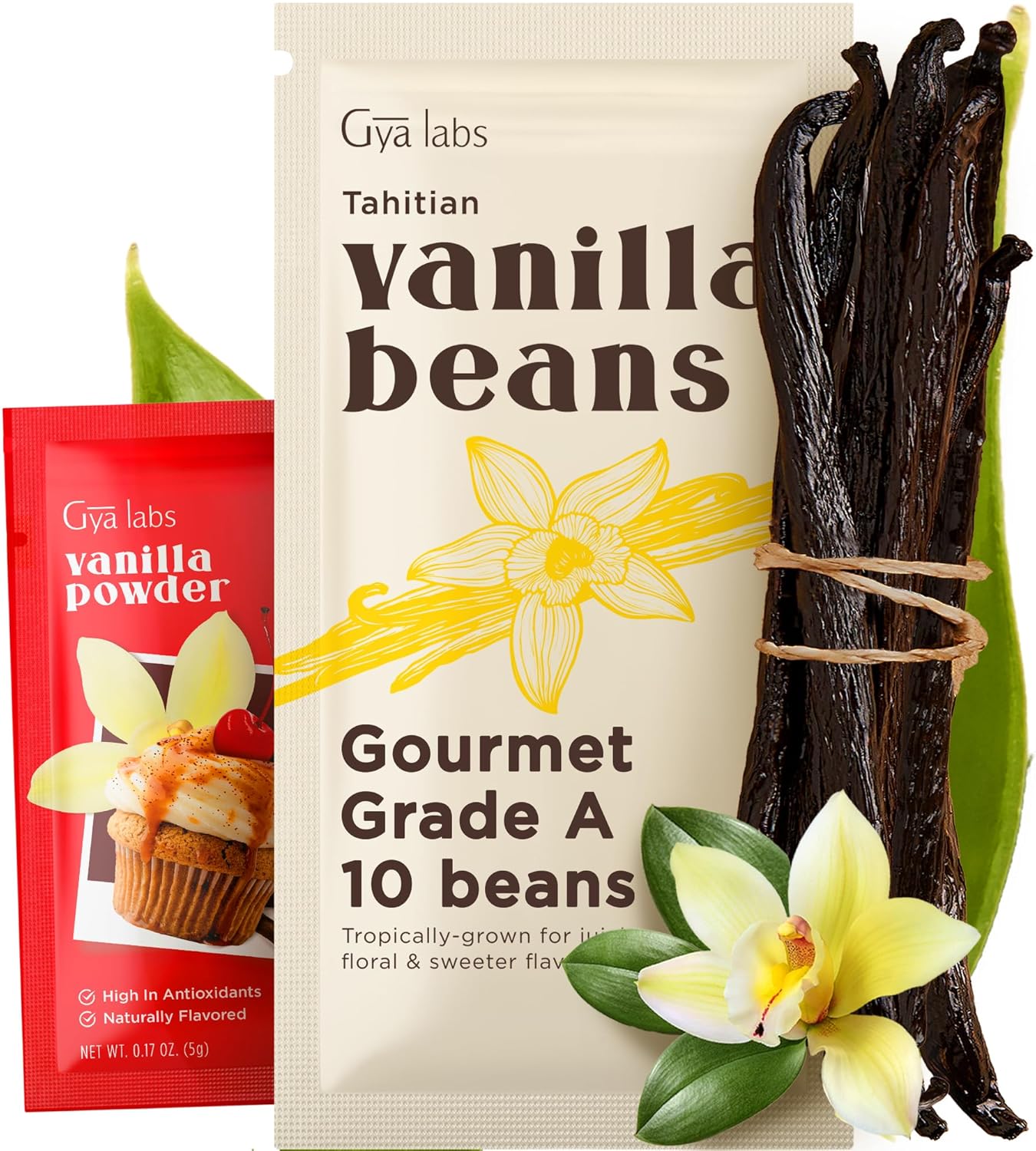 Gya Labs 10 Tahitian Vanilla Beans for Making Vanilla Extract, Baking - Grade A - 5-7 Inches (12 to 15 CM) long, Caviar Rich, Flavorful Fresh Pods