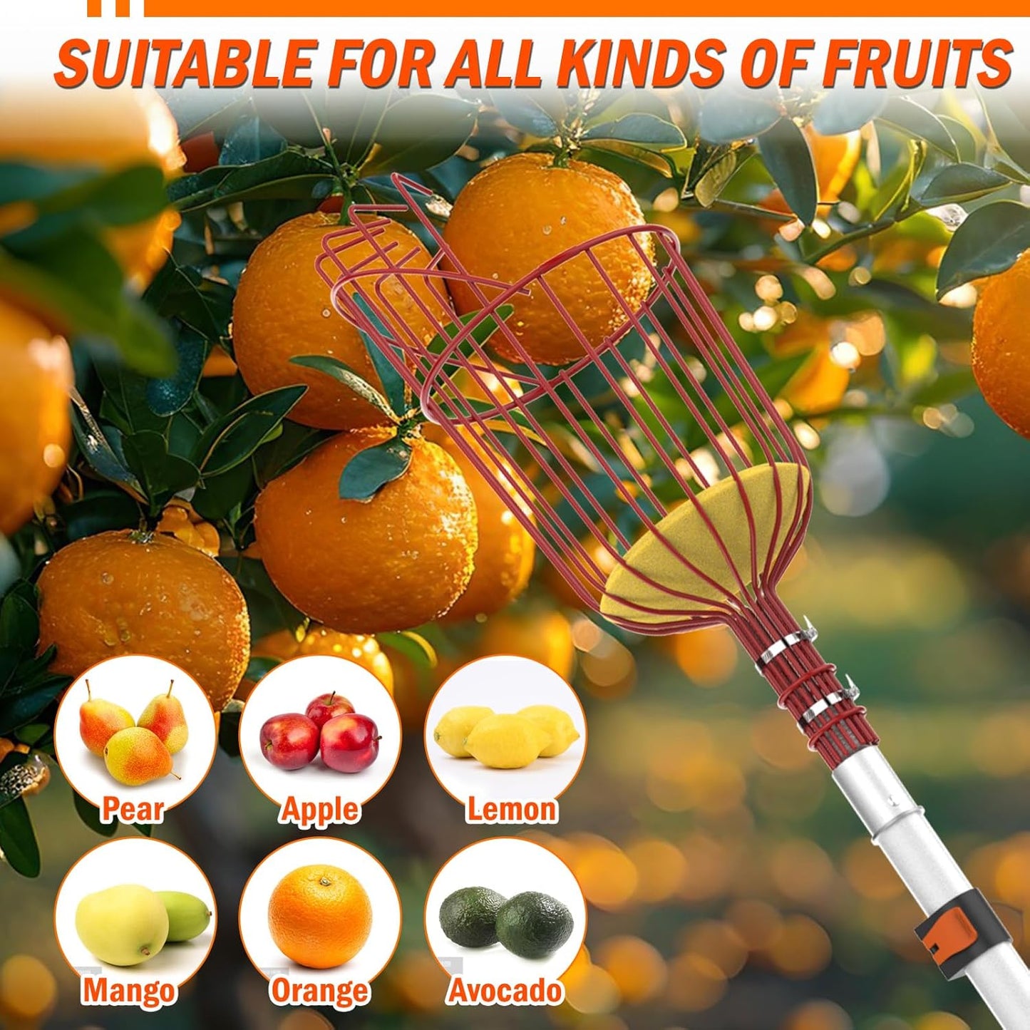 20FT Reach Fruit Picker Pole with Basket Telescoping, Apple Picker with 3-12FT Telescoping Pole for Apple Orange Lemon Mango Avocado Guava Fruit Picking