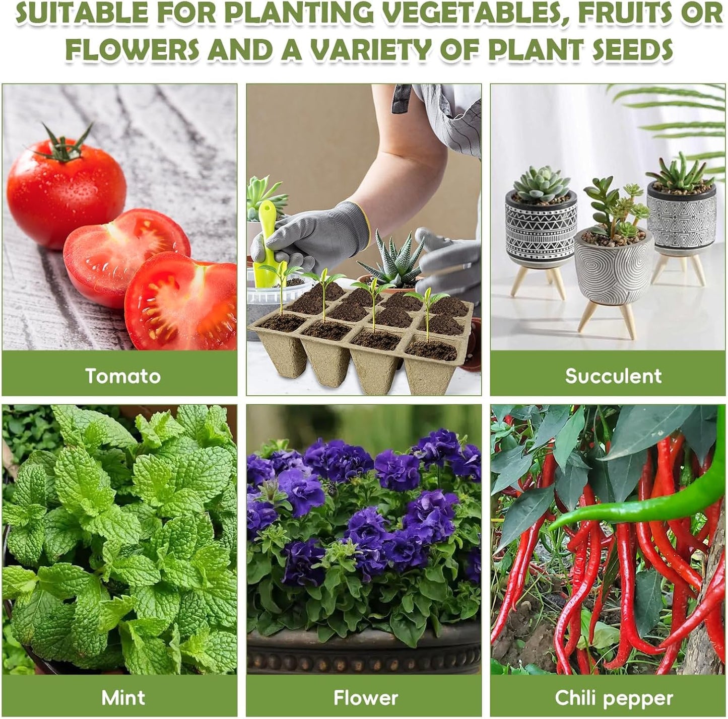 PINVNBY 288 Cells Seed Starter Tray 24 Packs Biodegradable Peat Pots for Seedlings Disposable Seedling Starter Trays with 24 Labels and 2 Transplant Tools for Indoor Outdoor Garden