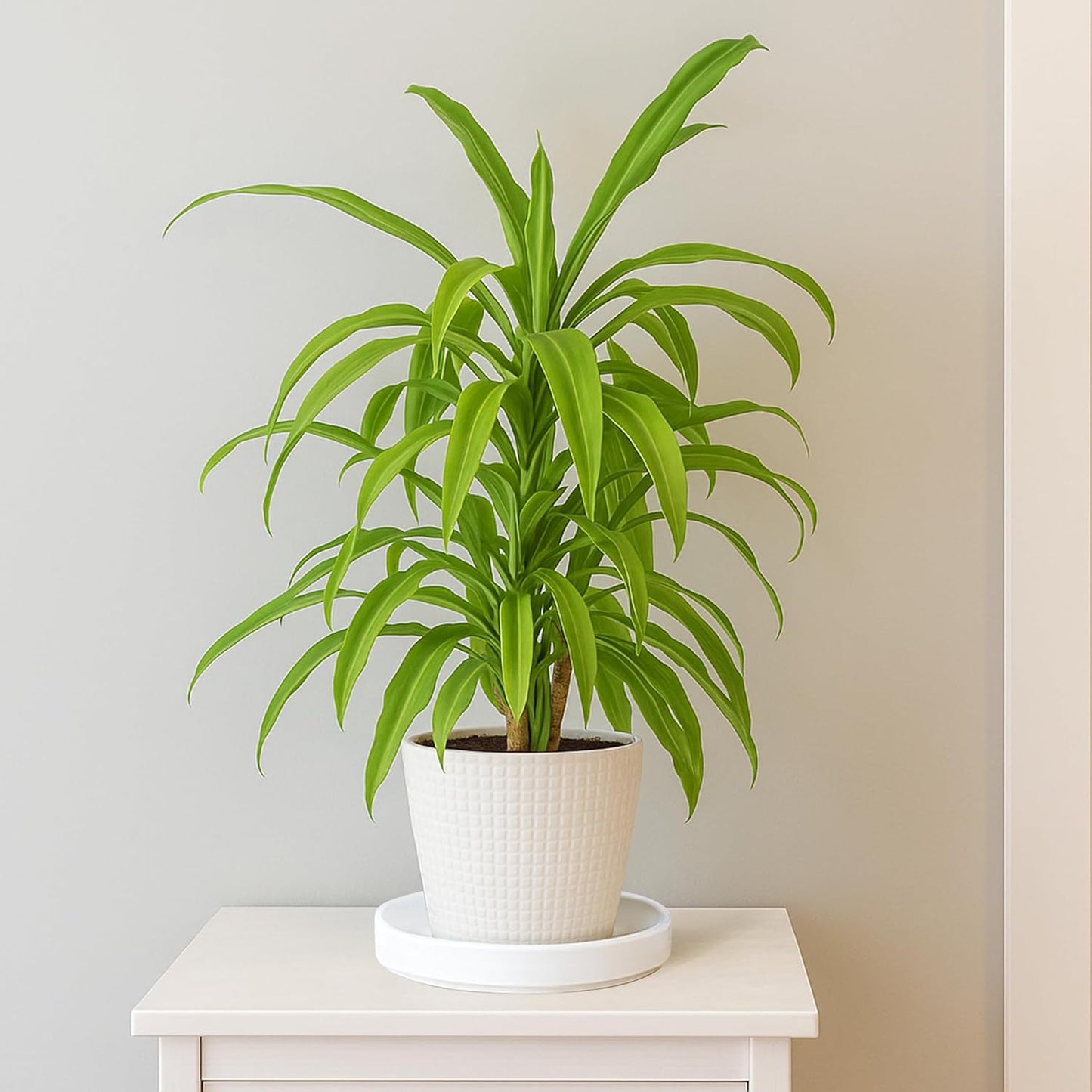 D'vine Dev Modern Round 7.1 Inch Ceramic Plant Pot Saucer, Planter Pot Drainage Tray for Indoor Plants, Matte White, 97-T-A-3