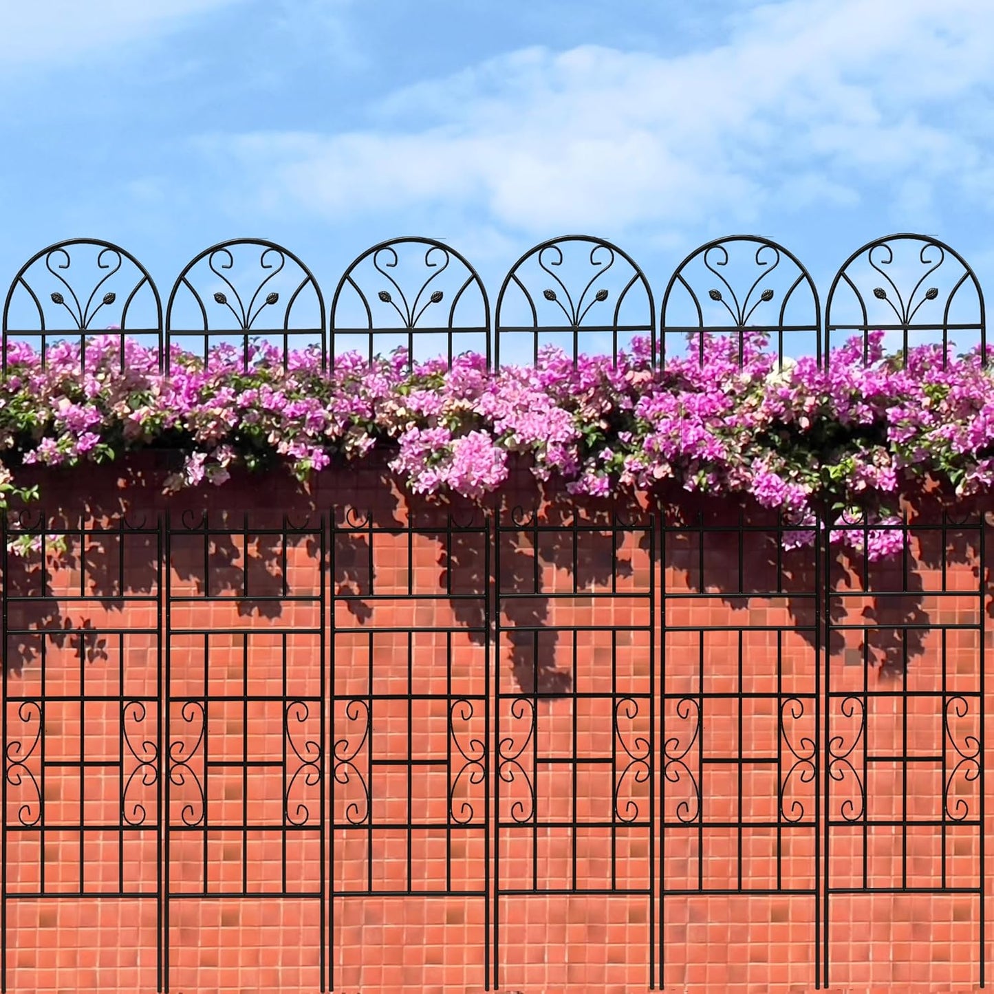 2 Pack Metal Garden Trellis 86.7" Tall Outdoor Climbing Plant Support for Roses, Flowers, Rustproof Durable Black Galvanized Tube, Lawn Garden Fence Decor Screen (2, Black curves-86.7" H)