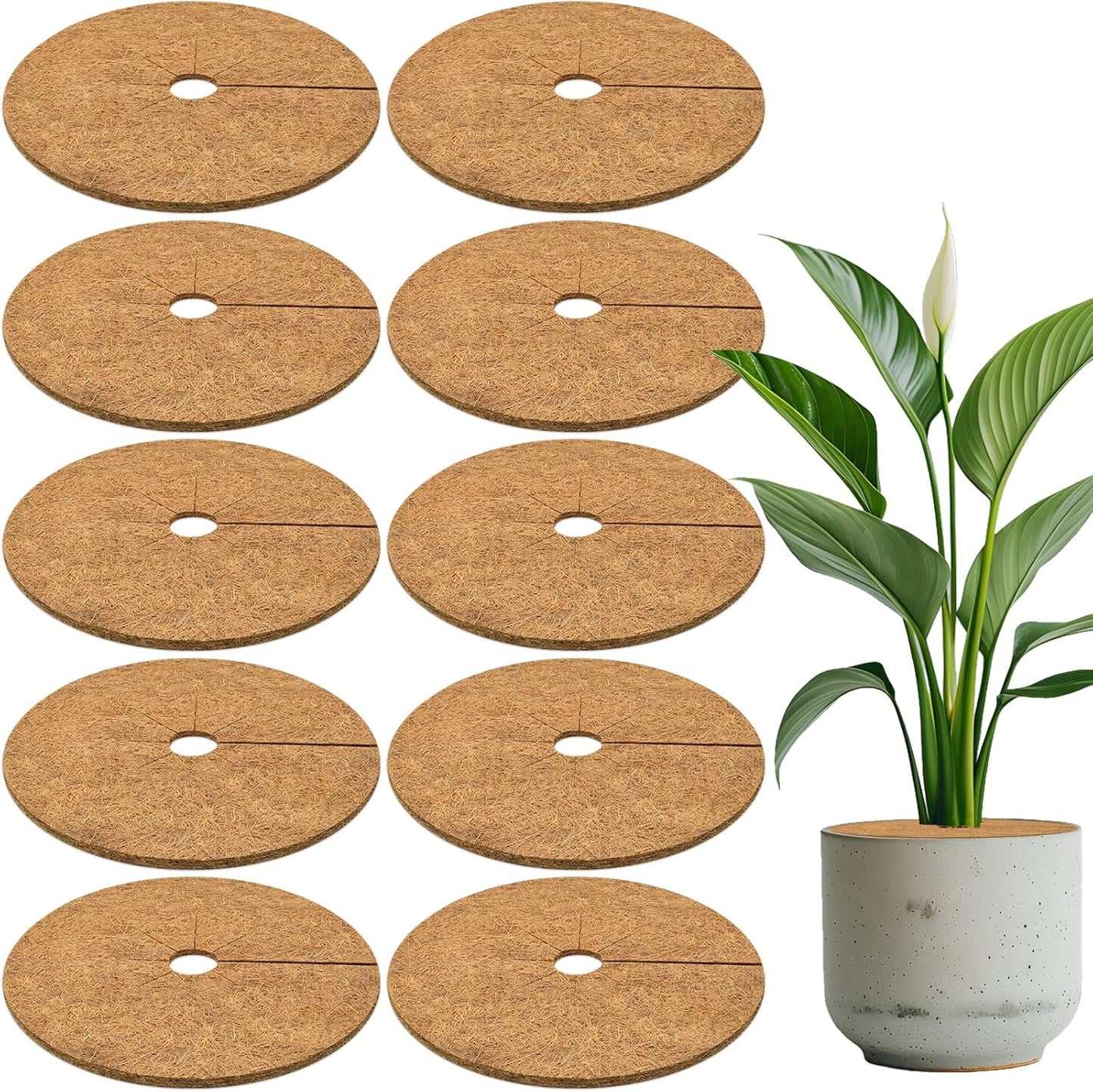 ZeeDix 10 Pack 14 Inch Coconut Fiber Mulch Ring, 100% Natural Coco Coir Tree Ring Mulch Mat Plant Protector Mat, Coconut Coir Discs Plant Pot Soil Cover for Indoor Outdoor Plants, Garden Decoration