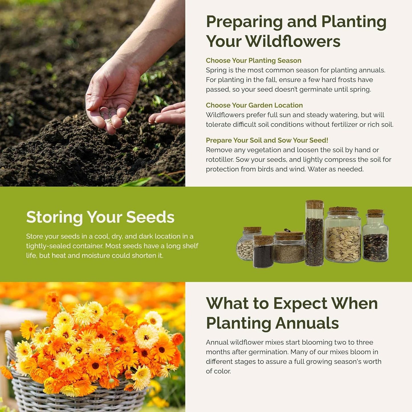 Eden Brothers Orange You Glad Flower Mixed Seeds for Planting, 1 lb, 480,000+ Seeds with Dahlia, Double Strawflower | Attracts Pollinators, Plant in Spring or Fall, Zones 3, 4, 5, 6, 7, 8, 9, 10