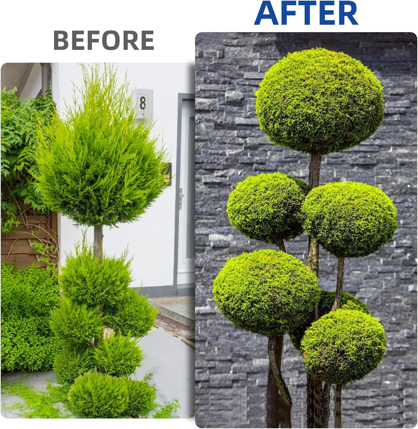 Hedge Shears Heavy Duty Hedge Clippers with Shock Absorbing Bumpers Ideal Hedge Clippers for Gardening Pruning Shaping Shrubs and Decorative Plants Garden Hedge Shears for Effortless Trimming