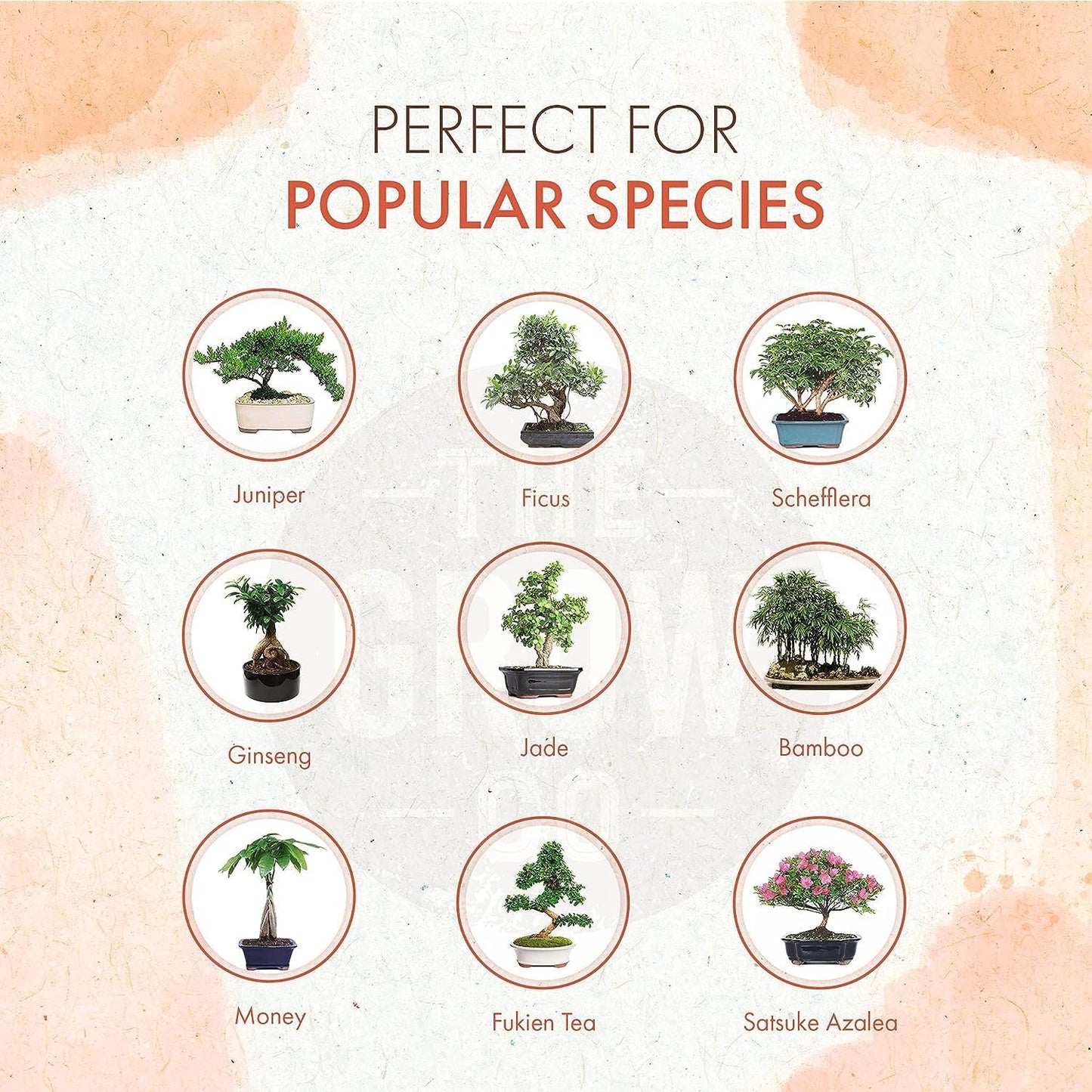 8oz Bonsai Fertilizer Liquid - Organic Bonsai Food Liquid Fertilizer for Long Term Health - Gentle Plant Food for Indoor and Outdoor Use, Promotes Robust Growth, Strong Stems and Beautiful Blooms