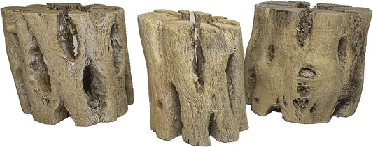 3 Natural Cholla Wood Air Plant Display Holders 2 inch Individually Unique Round Decorative Stands