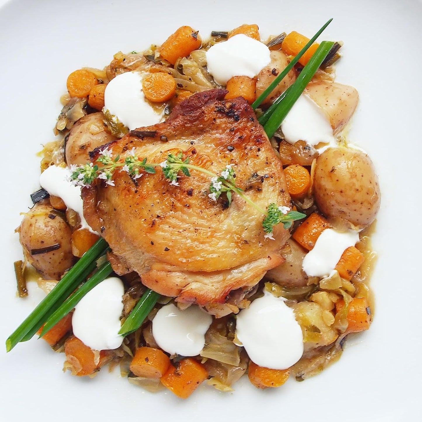 German Thyme Plants - Perfect for Indoor or Outdoor Gardening, High in Antioxidants, Fragrant and Flavorful Herb (4 ger Thyme Bags)