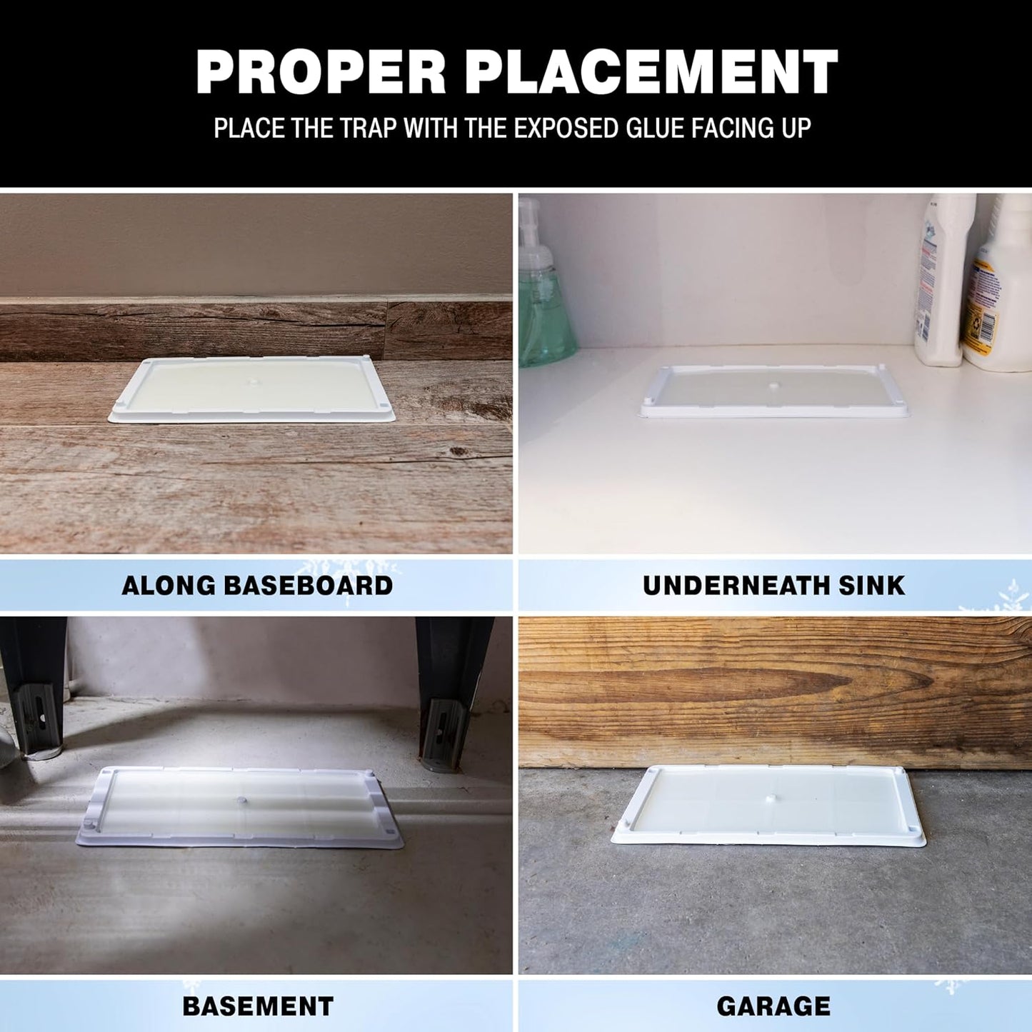 Catchmaster Freeze Resistant Glue Traps 6PK Mouse Traps Indoor for Home, Pest Control Tray for Rodents, Bugs & Crickets, Cold Weather Glue Board for House, Shed & Garage