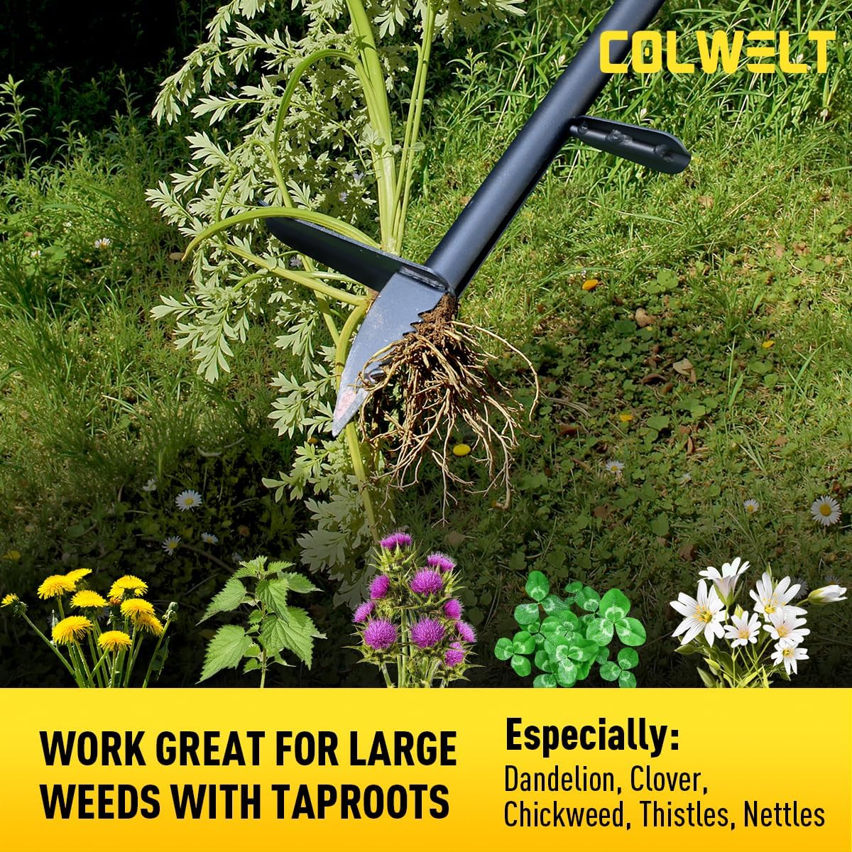 Colwelt Weed Remover Tool 39’’, Weed Puller Root Remover with Thick Steel Claw, Long Handled Weeding Tool with Easy Foot Ejector, Stand Up Garden Weeder Tool for Lawn Grass Dandelion Removal