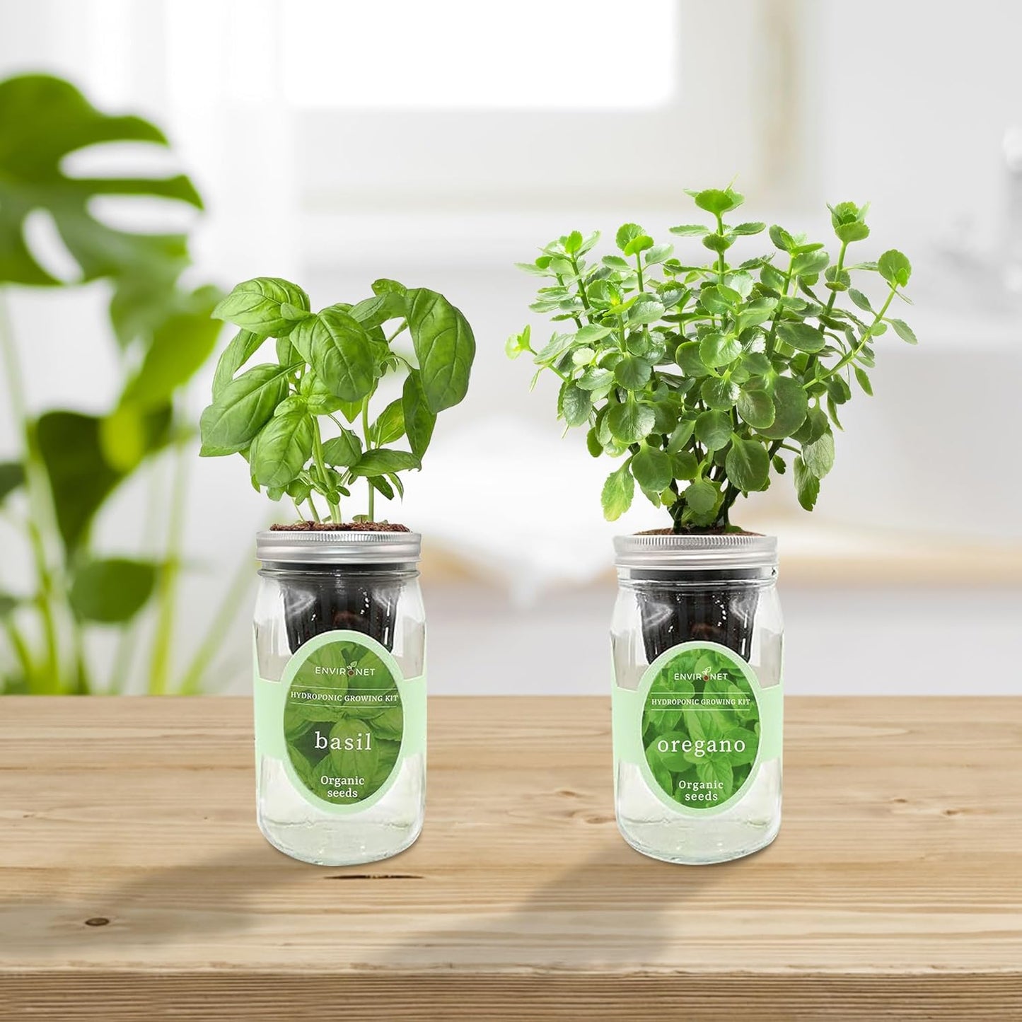 2-Pack Hydroponic Mason Jar Herb Garden Kit, Indoor Herb Garden Self-Watering Starter Kit (Basil,Oregano)