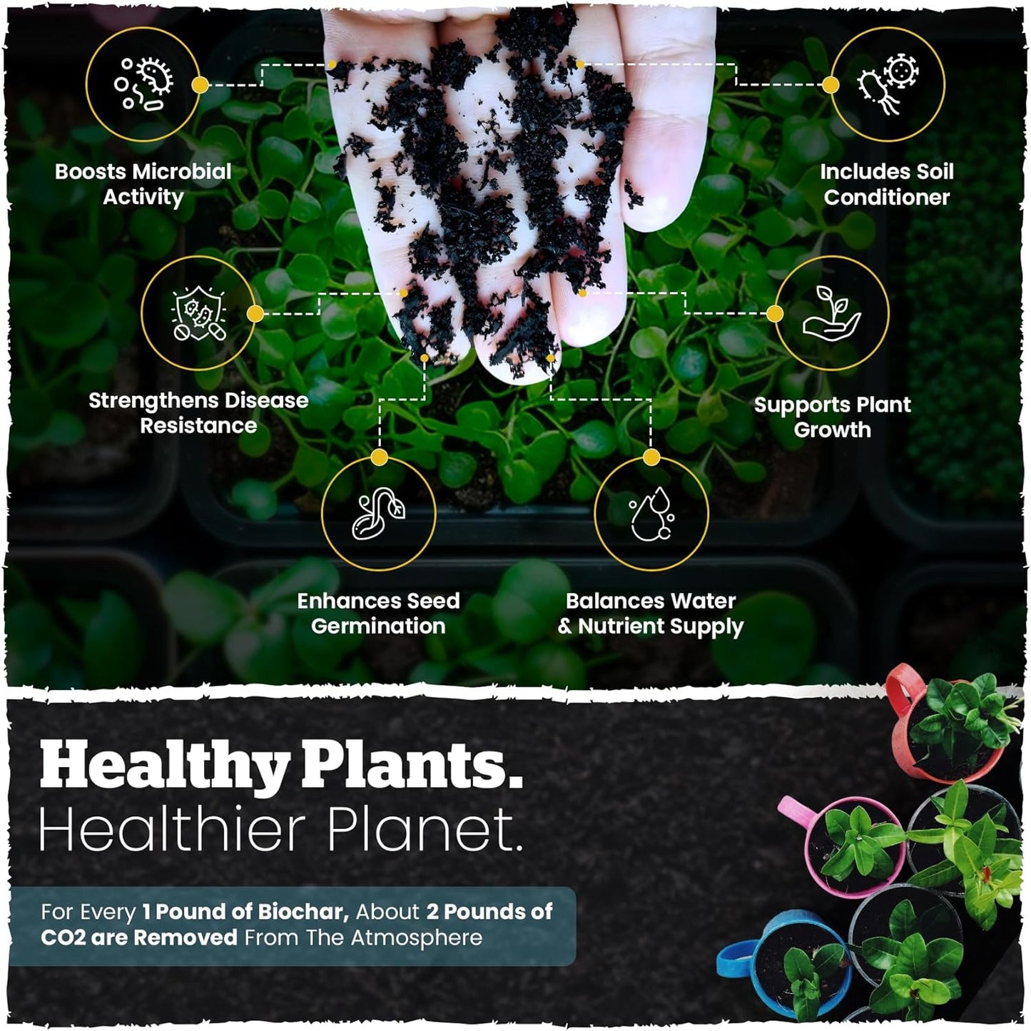 Wakefield Premium Organic Biochar Soil Amendment & Soil Conditioner – Certified Carbon-Negative Nutrient-Locking, Water-Efficient Bio Char for Plants & Lawns - Soil Amendments for Lawn - 2 Quart