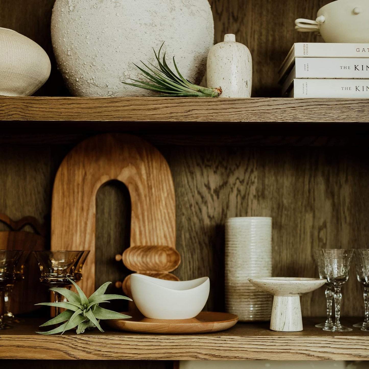 Air Plants - Loki Gift Box - 9ct - Live Arrival Guaranteed - House Plants for Home Decor & Gift