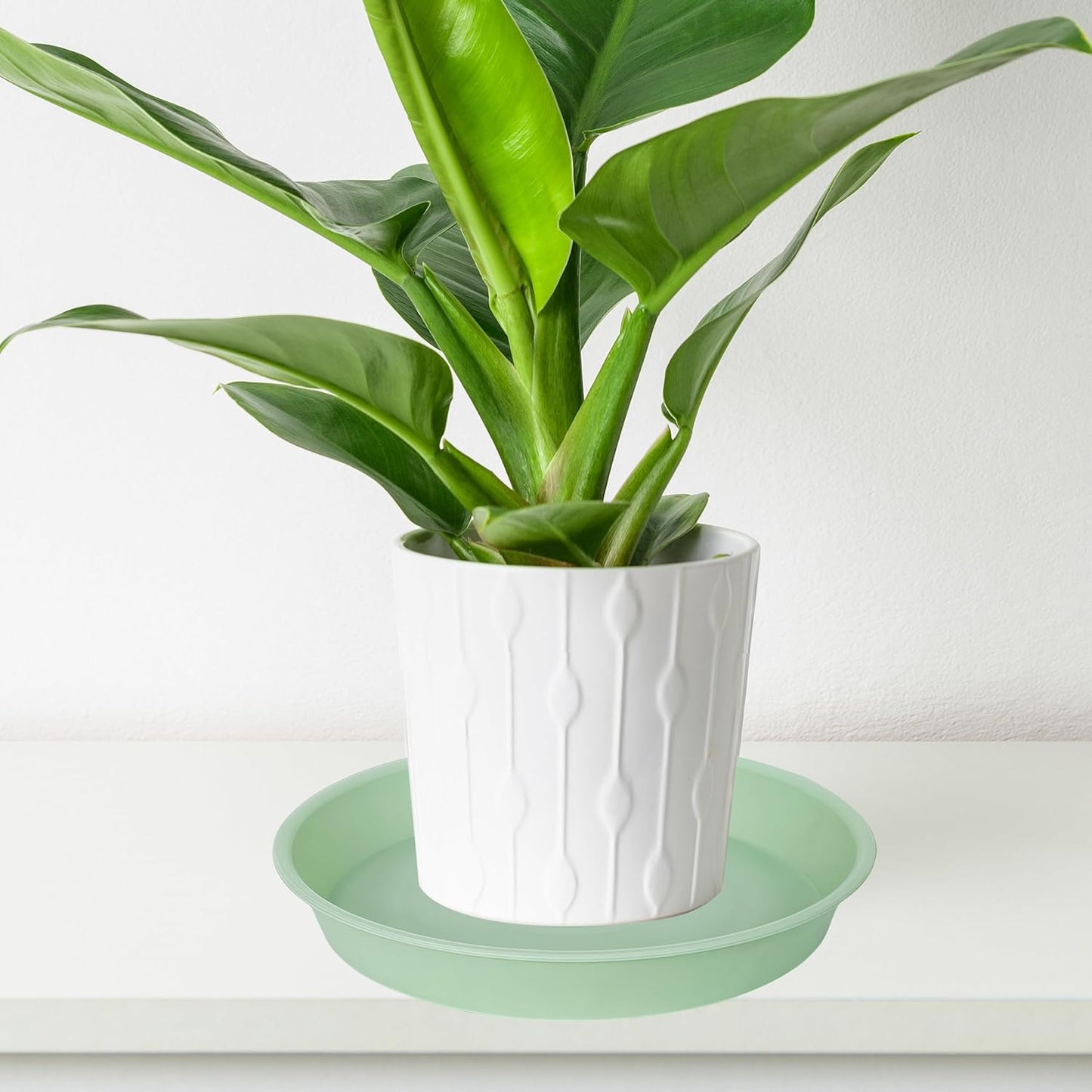 6 Pack of 8 inch Plant Saucer Blue, Plastic Plant Water Tray 8 inch Round, Flower Plant Saucers for Indoors, Dlant Dishes Saucer for Planter 7"/8" (8", Light Green)