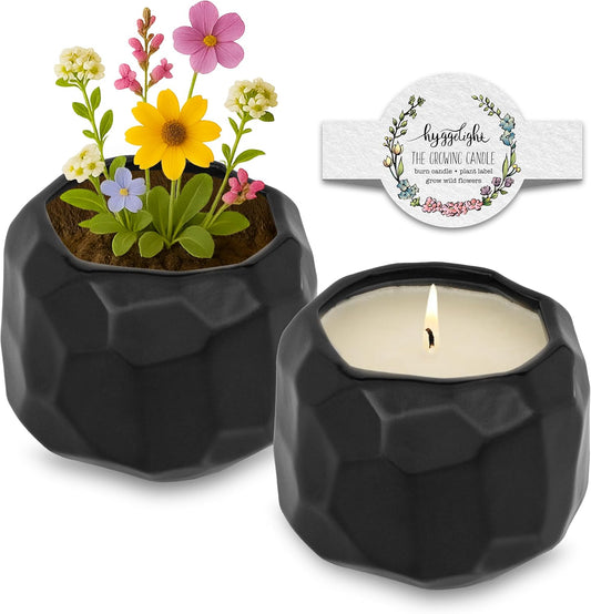 The Growing Candle, Sandalwood & Vanilla Scented, 13oz Ceramic Pot, Aromatherapy Candles for Home, 100% Soy, Emma