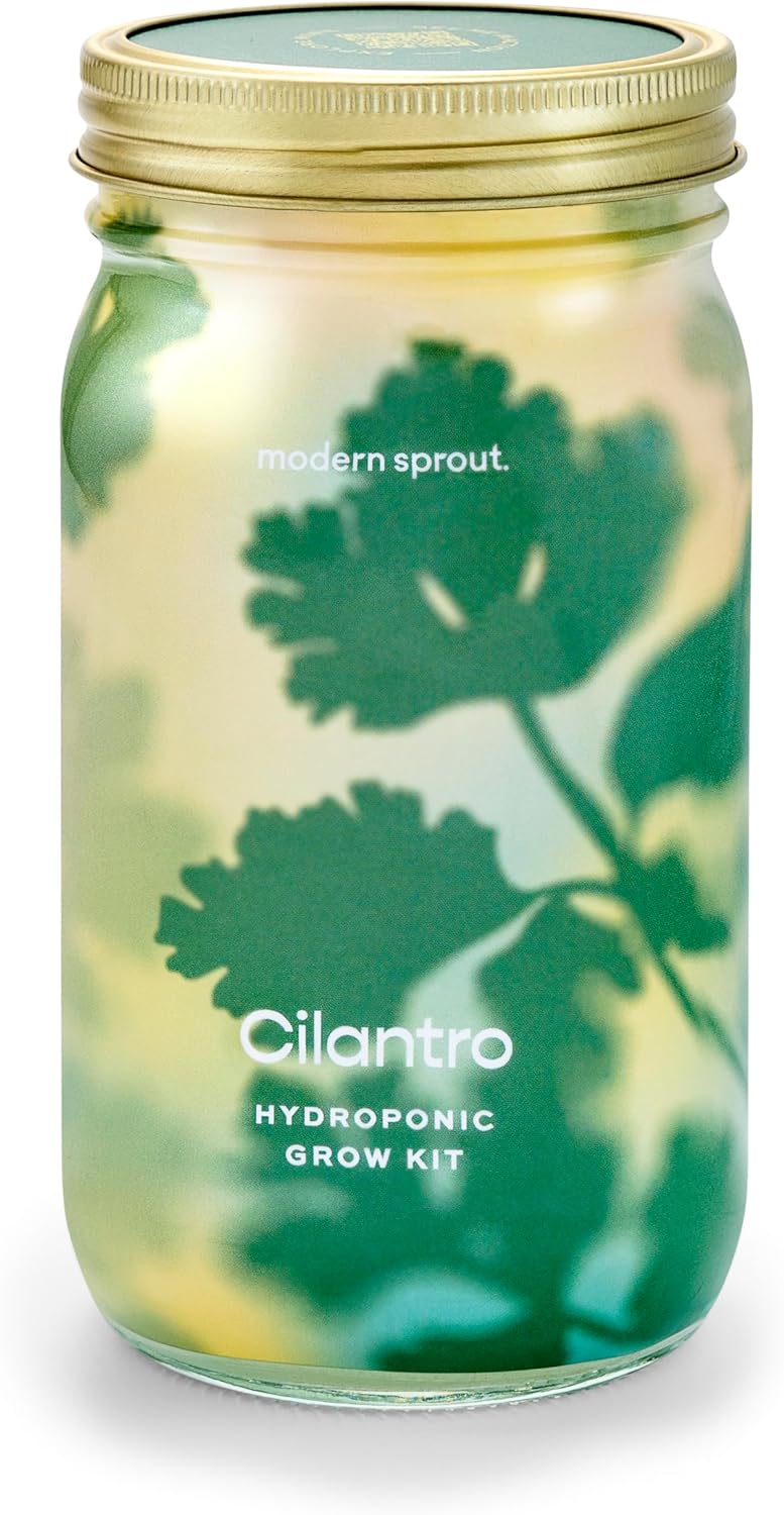 Modern Sprout Mason Garden Jar - Self-Watering Hydroponics Growing System Kit with Organic Herb Seeds - Jar Planter for Indoor Herb Garden - Seed Starter Kit - Home Decor & Gifting - Cilantro