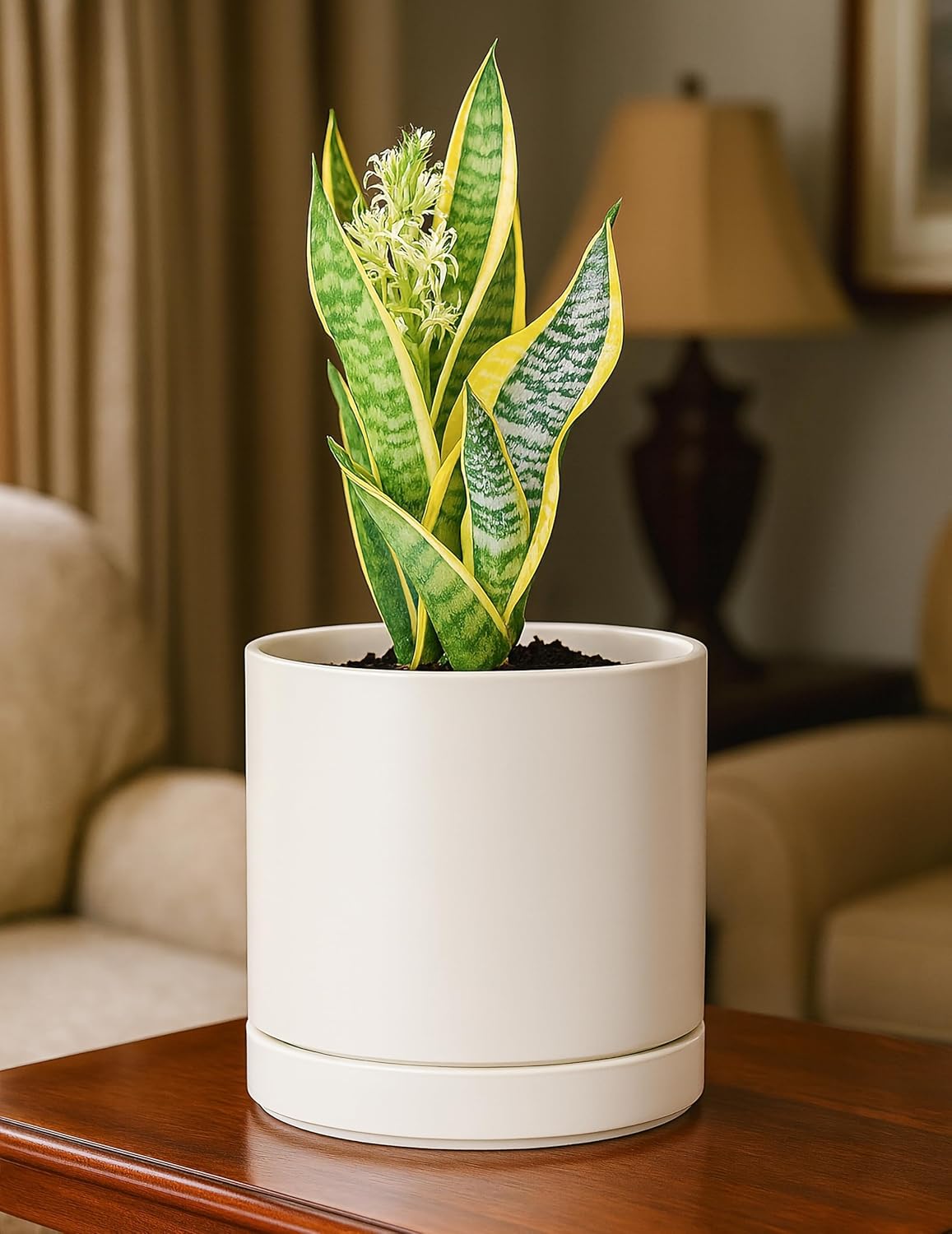 D'vine Dev 6.5 Inch Ceramic Planter Pot with Drainage Hole and Saucer, Indoor Cylinder Round Planter Pot, Oatmeal, 94-O-C-8