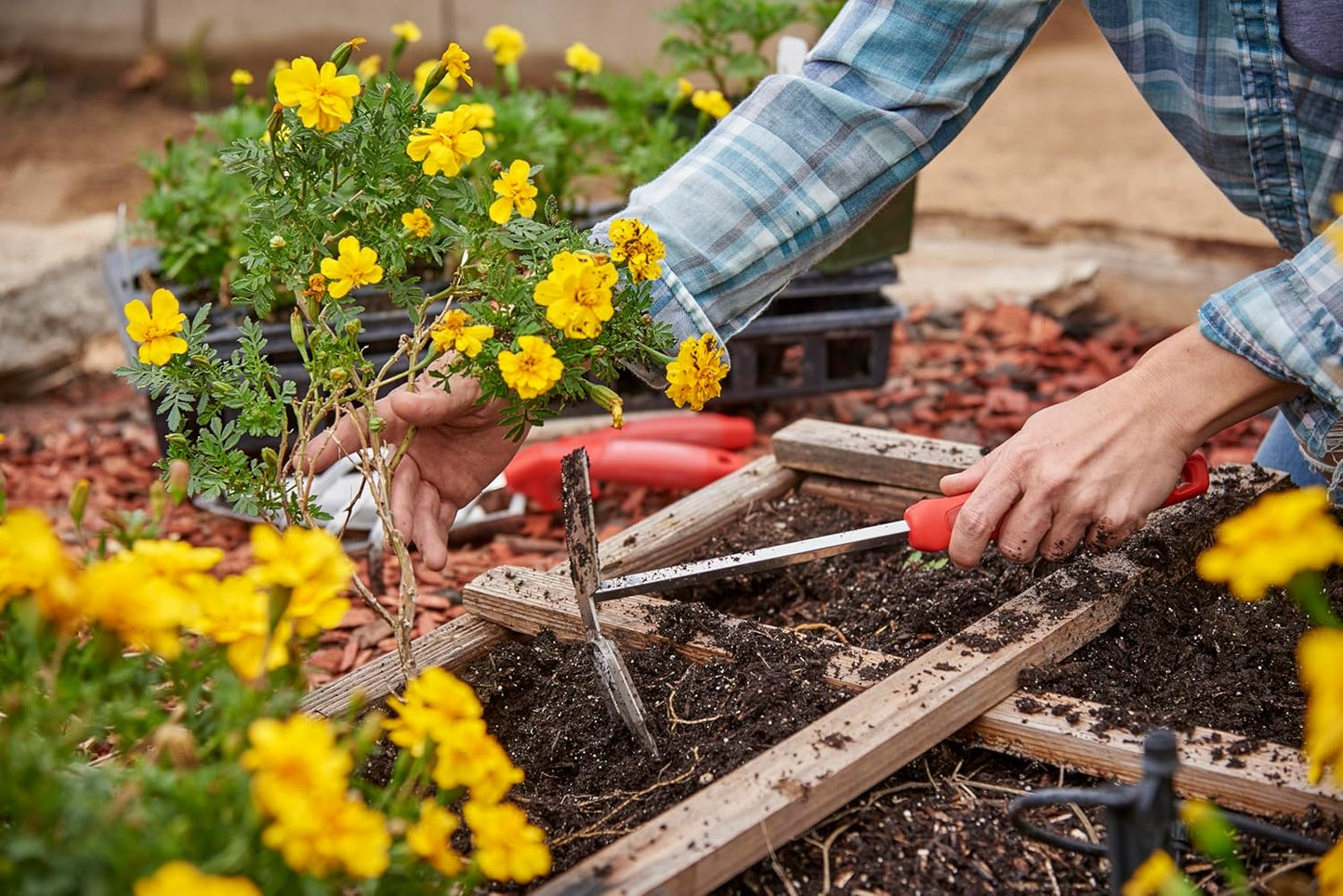 Corona CT 3344 Premium Stainless Steel ComfortGEL Hoe/Cultivator, Red