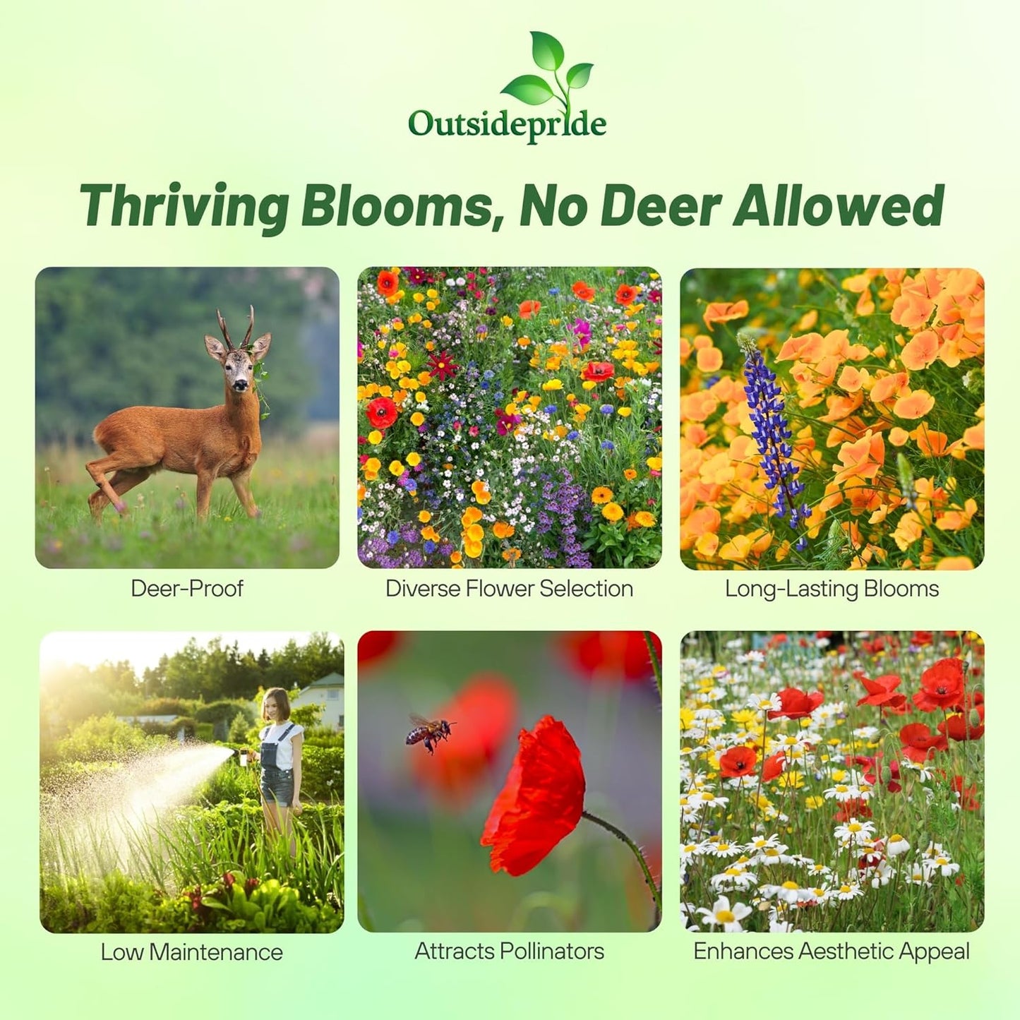Outsidepride Deer Proof Wildflower Seed Mix - 1 lb. Colorful Blend of Easy to Grow, Drought-Tolerant Annual & Perennial Wildflower Seeds for a Deer-Free,Vibrant Meadow & Pollinator-Friendly Garden