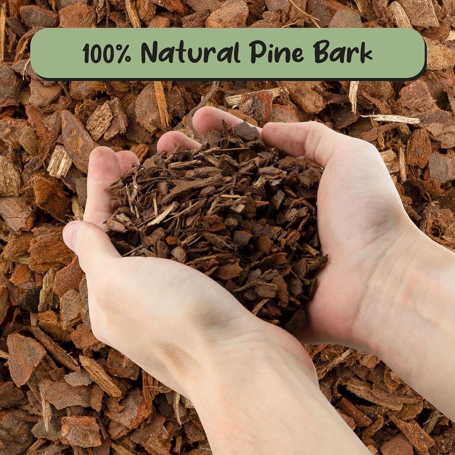 100% Organic Orchid Potting Bark (2 Quarts), All-Natural USA-Sourced Pine Bark Orchid Mix Additive
