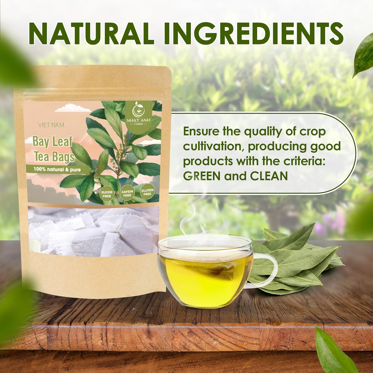 NHAT ANH FARM - Premium Bay Leaf Tea Bags, 100 Tea Bags, 100% Natural Dried Bay Leaf, Sugar-Free, Caffeine-Free, No Additives. Herbal Infusion For Daily Wellness