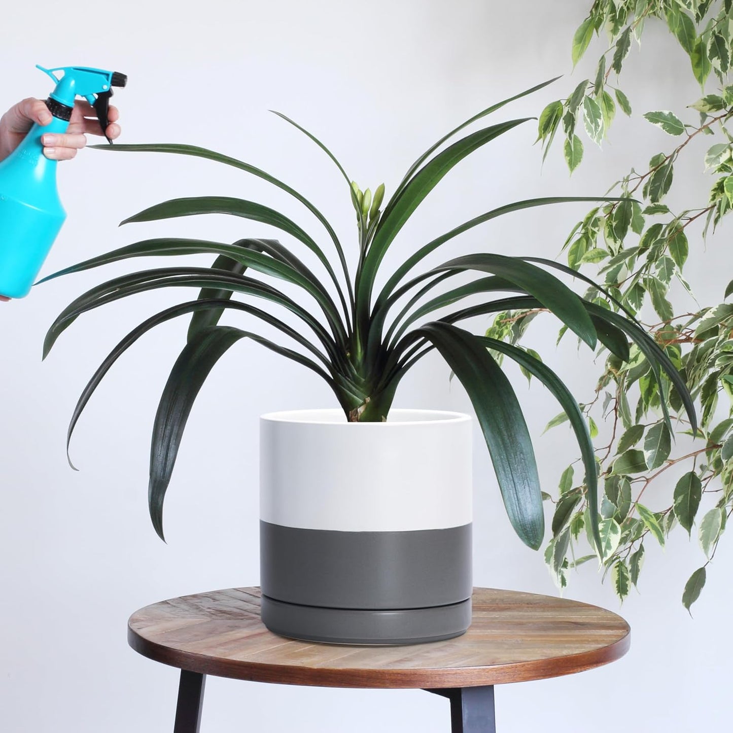 D'vine Dev 8.2 Inch Ceramic Planter Pot with Drainage Hole and Saucer, Indoor Cylinder Round Planter Pot, White/Speckled Grey, 94-O-D-6