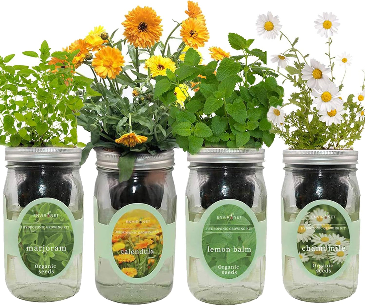 Hydroponic Herb Growing Kit Set, Self-Watering Mason Jar Herb Garden Starter Kit Indoor, Grow 4 Kinds of Herbs from Seeds (Calendula,Chamomile,Lemon Balm&Marjoram)
