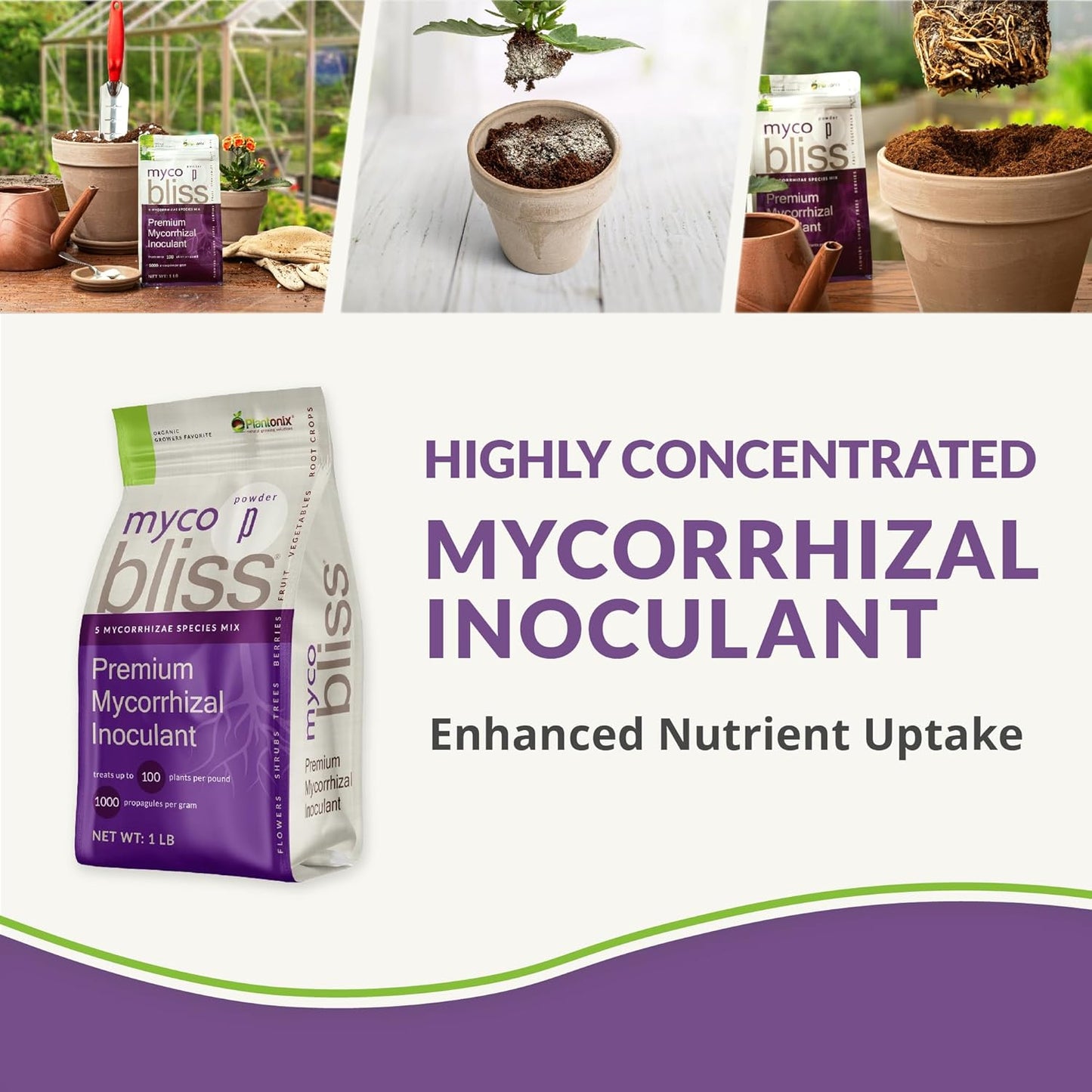 Myco Bliss Granular (1lb) - Mycorrhizal Fungi for Plants - 5 Strain Mycorrhizal Inoculant with 1000 Propagules Per Gram - Highly Concentrated Mycorrhizae for Plants, Potting Soil, & Garden Soil