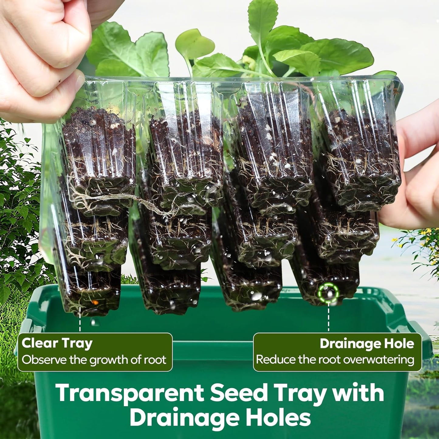 MIXC Seed Starter Kit with Grow Light, Elevated Seedling Tray Kit with Adjustable Humidity Dome and Clear Cell Tray, 12 Full Spectrum Led Beads for Seed Starting Greenhouse, 6 Pack, Green