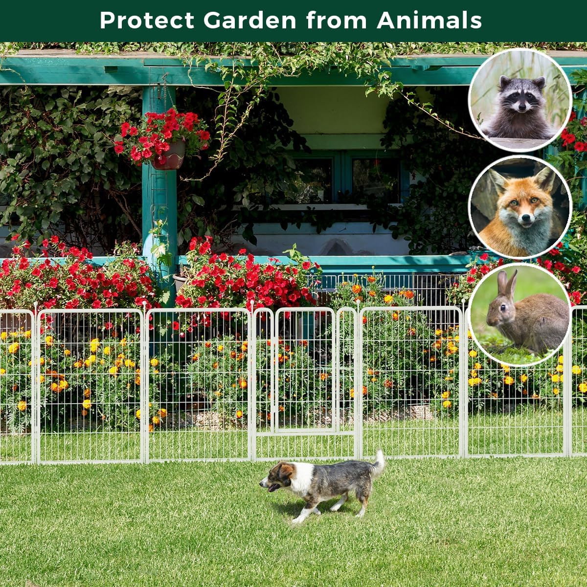 FXW Garden Fence Outdoor for The Yard – 40in(H) x 18.2ft(L) Heavy Duty Metal Animal Barrier for Dog and Rabbit, Decorative Dog Fence, 8 Panels, White