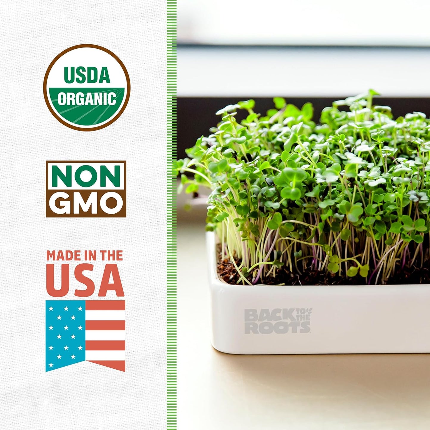 Back to the Roots Organic Microgreens Grow Kit with Ceramic Planter, Expandable Soil, Organic Seeds, and Germination Lid