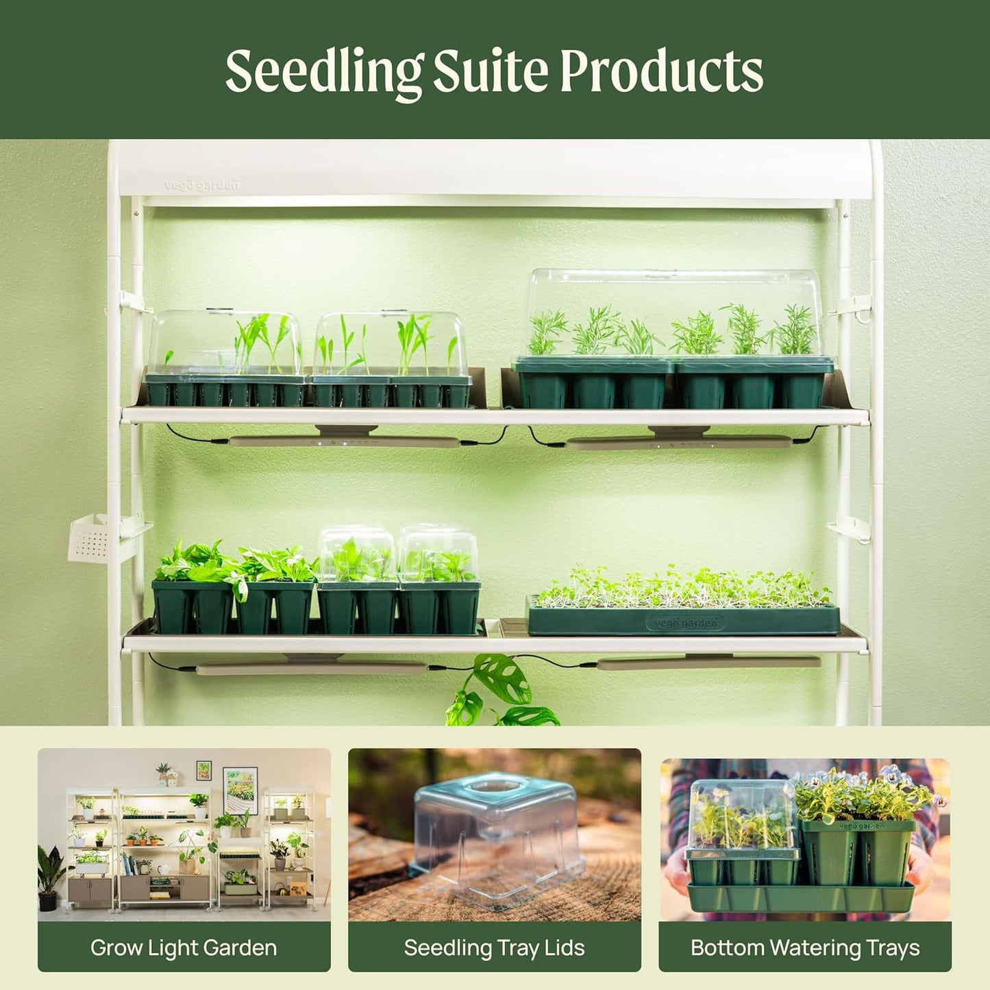 Vego garden Jumbo Seedling Trays Without Lids, 32 Pack Reusable Propagator Growing Starter Tray for Larger Plants, Heavy-Duty Plastic Germination Trays (4-Cell per Tray)