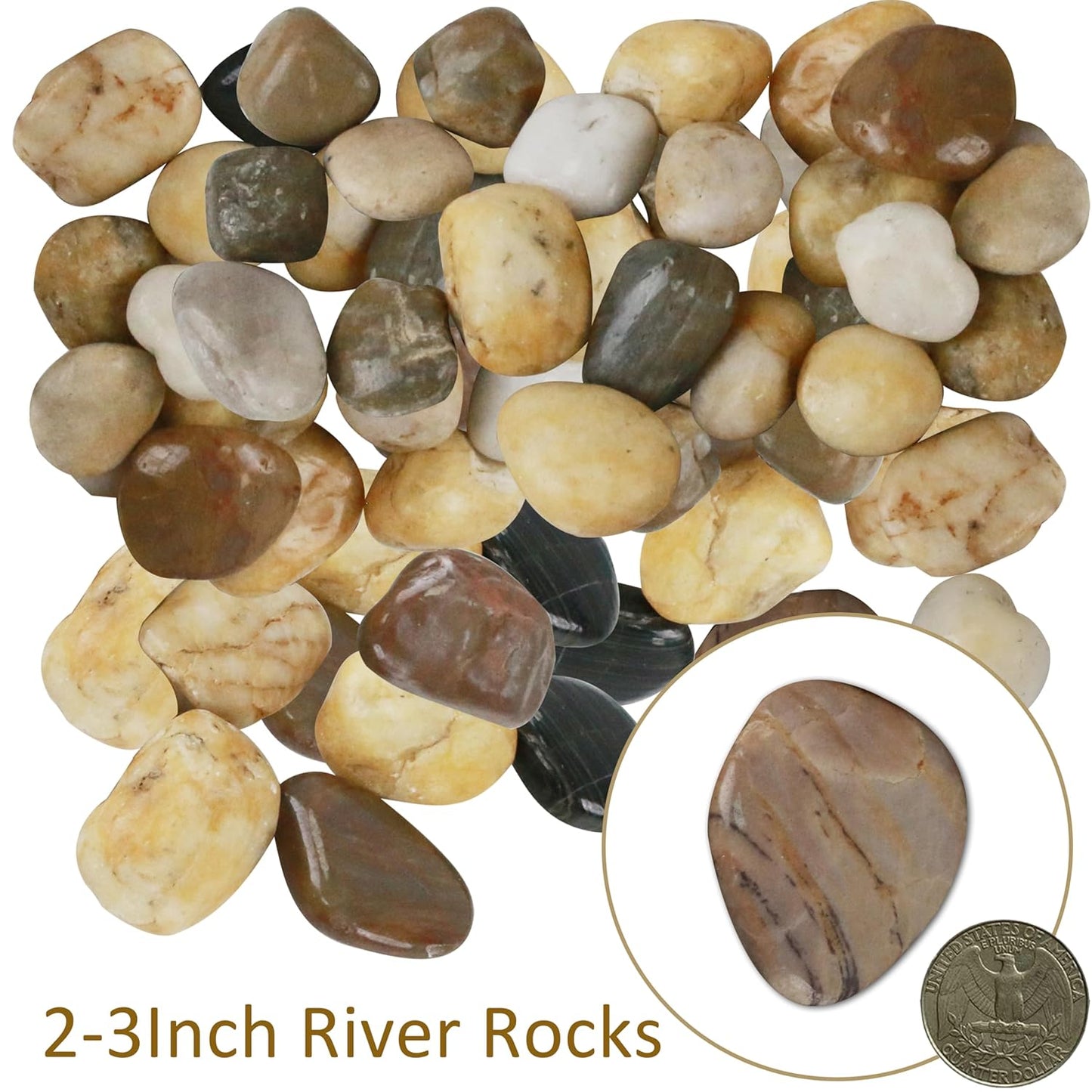 Sunnyglade 5 LBS River Rocks, 2-3 Inch Natural Pebbles for Indoor Plants, High Polished Decorative Stones Vase Filler Fish Tank Aquariums Landscaping Garden Outdoor and Indoor DIY (5, Pounds)