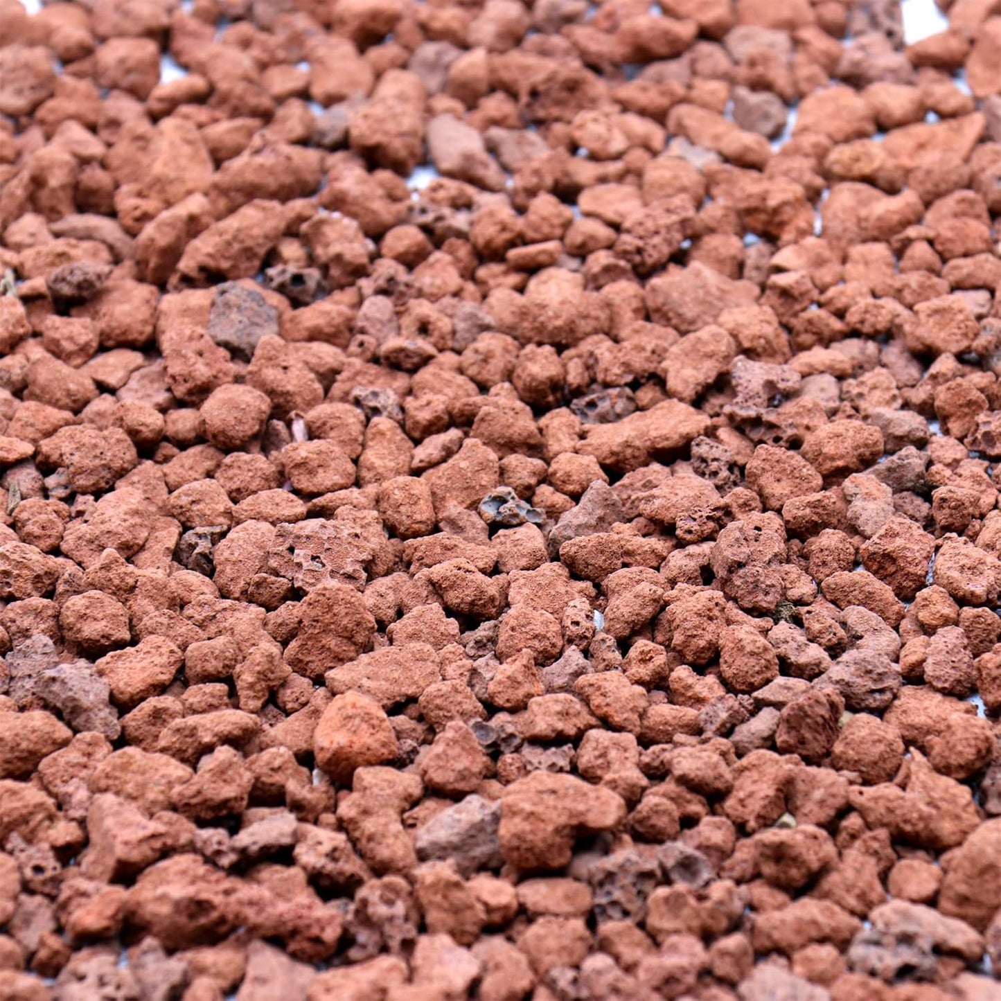 Volcanic Rock for Plants. Red Lava Rock. 1/5 Inch - 2 lbs for Potting Soil, Succulents, Pots, Plants, Gardening, Indoor, Crafting (Mini (0.2 Inch), Horticultural - RED Lava, 2)