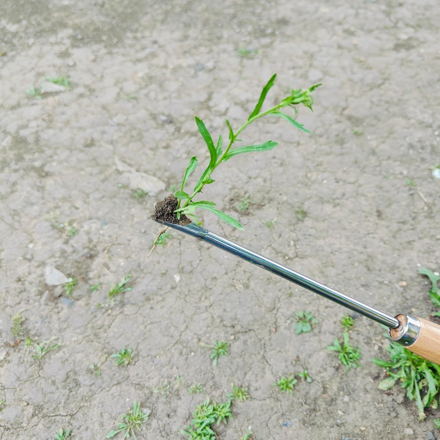 Gardening Tool, Weeder Tool Set Lightweight Easy to Use for Gardon & Patio (5pcs Garden Tool 01)