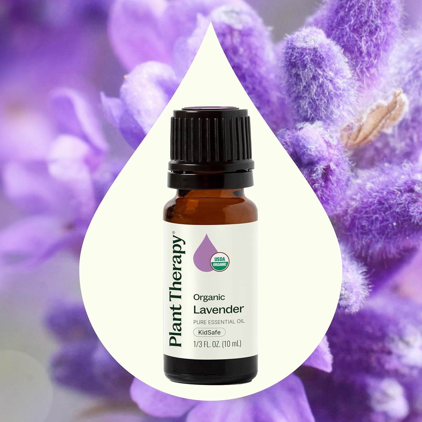 Plant Therapy Organic Lavender Essential Oil 100% Pure, USDA Certified Organic, Undiluted, Natural Aromatherapy, Therapeutic Grade 10 mL (1/3 oz)