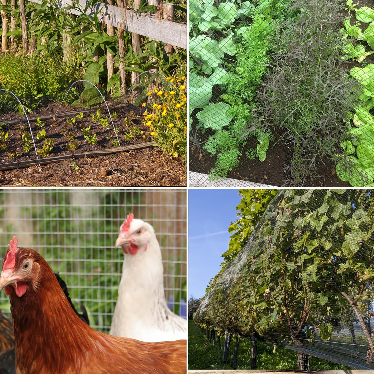 Bird Netting，10 x 10 FT Garden Netting Bird Net for Chicken Coop, Poultry Netting Fence for Fruit Trees, Plants and Vegetables Against Birds, Deer, Squirrels and Other Animals
