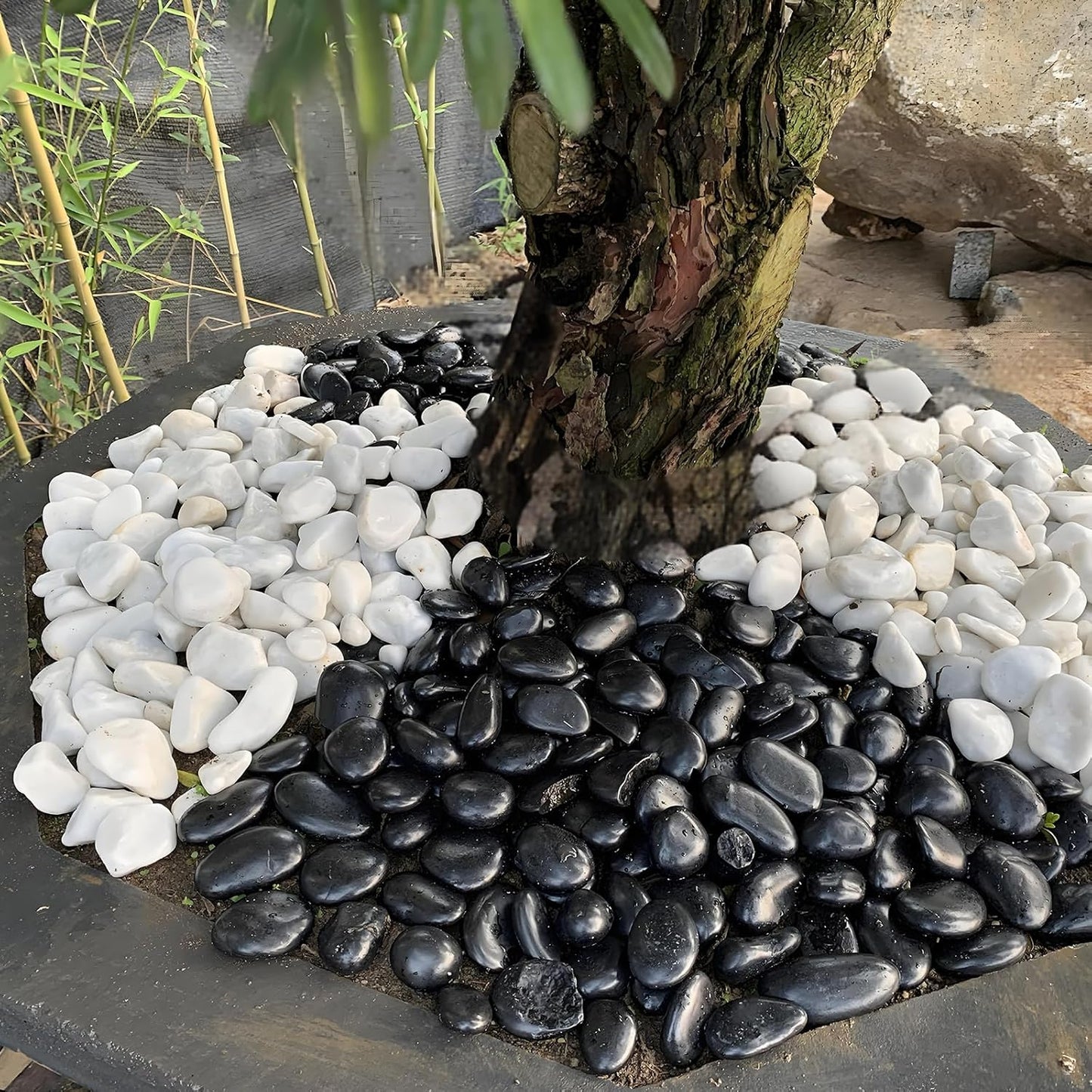 20 lbs Large Black River Rocks for Garden, 2-3 inch Polished Pebbles for Plants. Decorative Stones for Planters Landscaping Vase Aquarium and Fish Tank