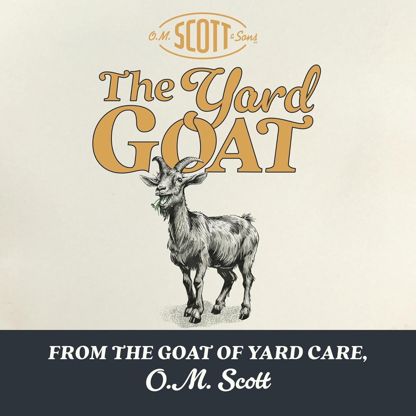 O.M. Scott and Sons Tall Fescue Blend Grass Seed, Fertilizer and Soil Improver, Naturally Crowds Out Weeds, Covers Up to 2,000 sq. ft., 8 lbs.