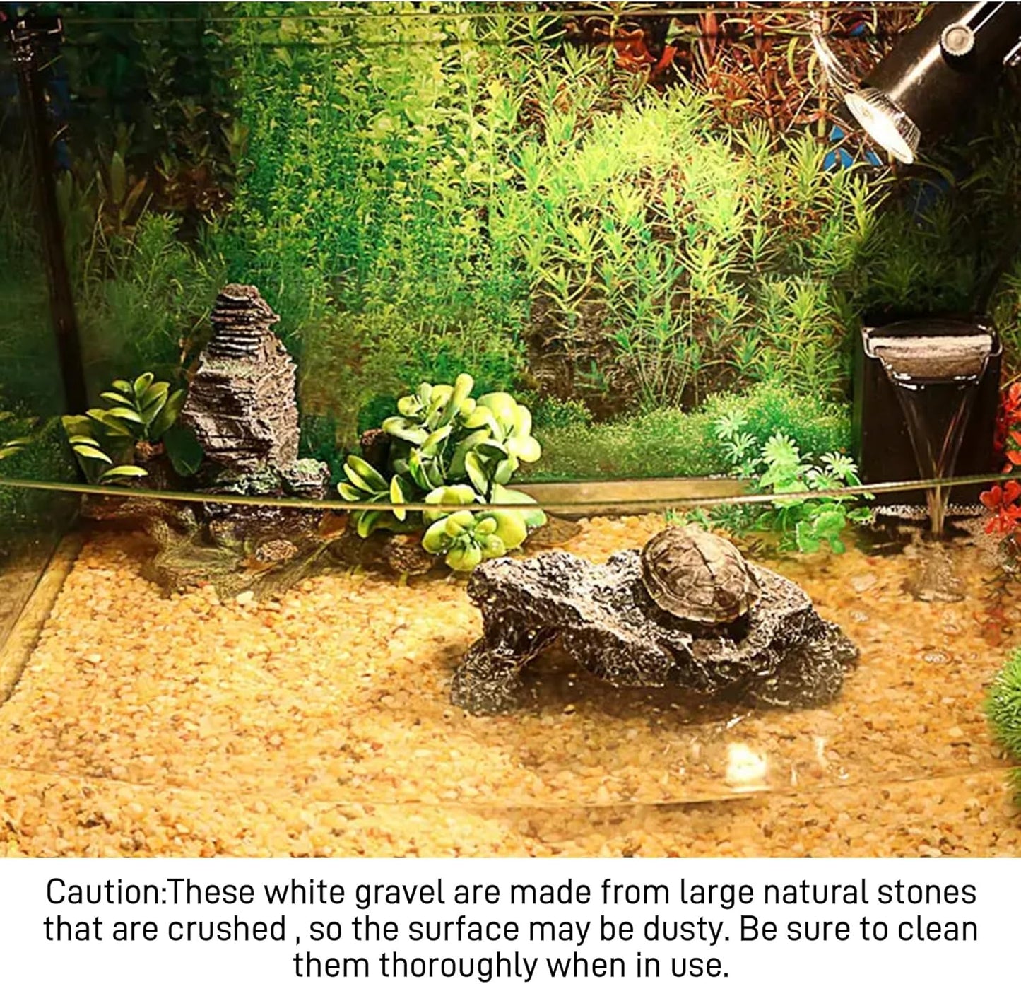 45lb Cactus Pea Gravel Rocks,1/5 Inch Pebbles for Indoor Plants, Natural Succulent Rock and River Rocks Decorative for Aquariums, Vases, Terrarium, Outdoor Gardening, Top Dressing for Potted Plants