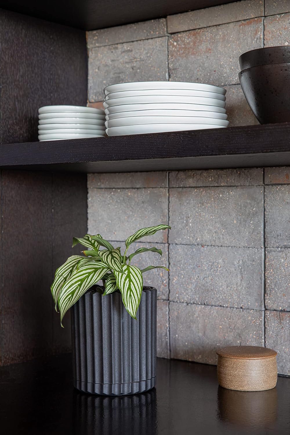 Veradek Demi Series Demi 6" Planter w/Tray, Black