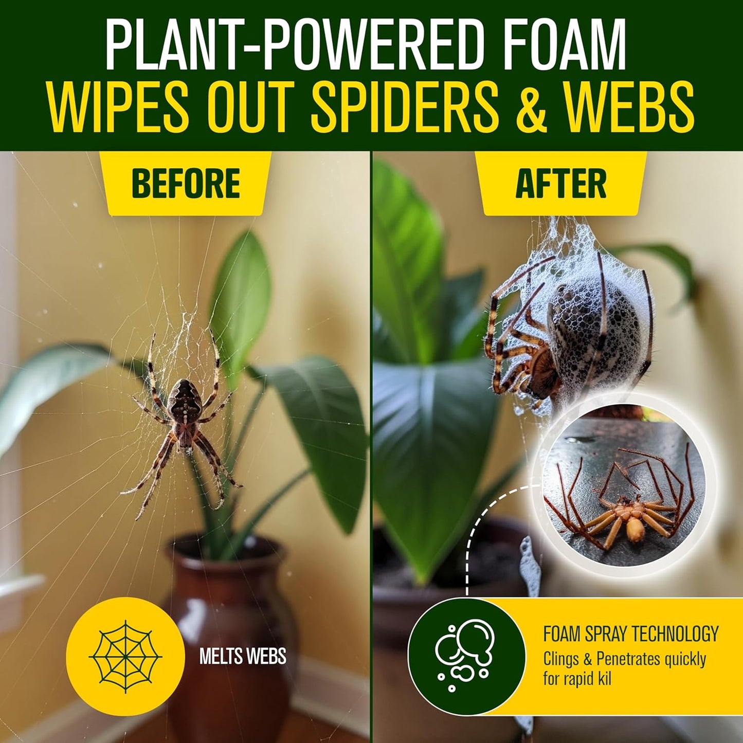 Green Guard Pest Control Spray - Indoor & Outdoor Killer of Ants, Roaches, Spiders & Other Crawling Insects, Safe Around Children & Pets, Plant-Based, Pleasant Scent (Lemongrass Blast, 32 oz)